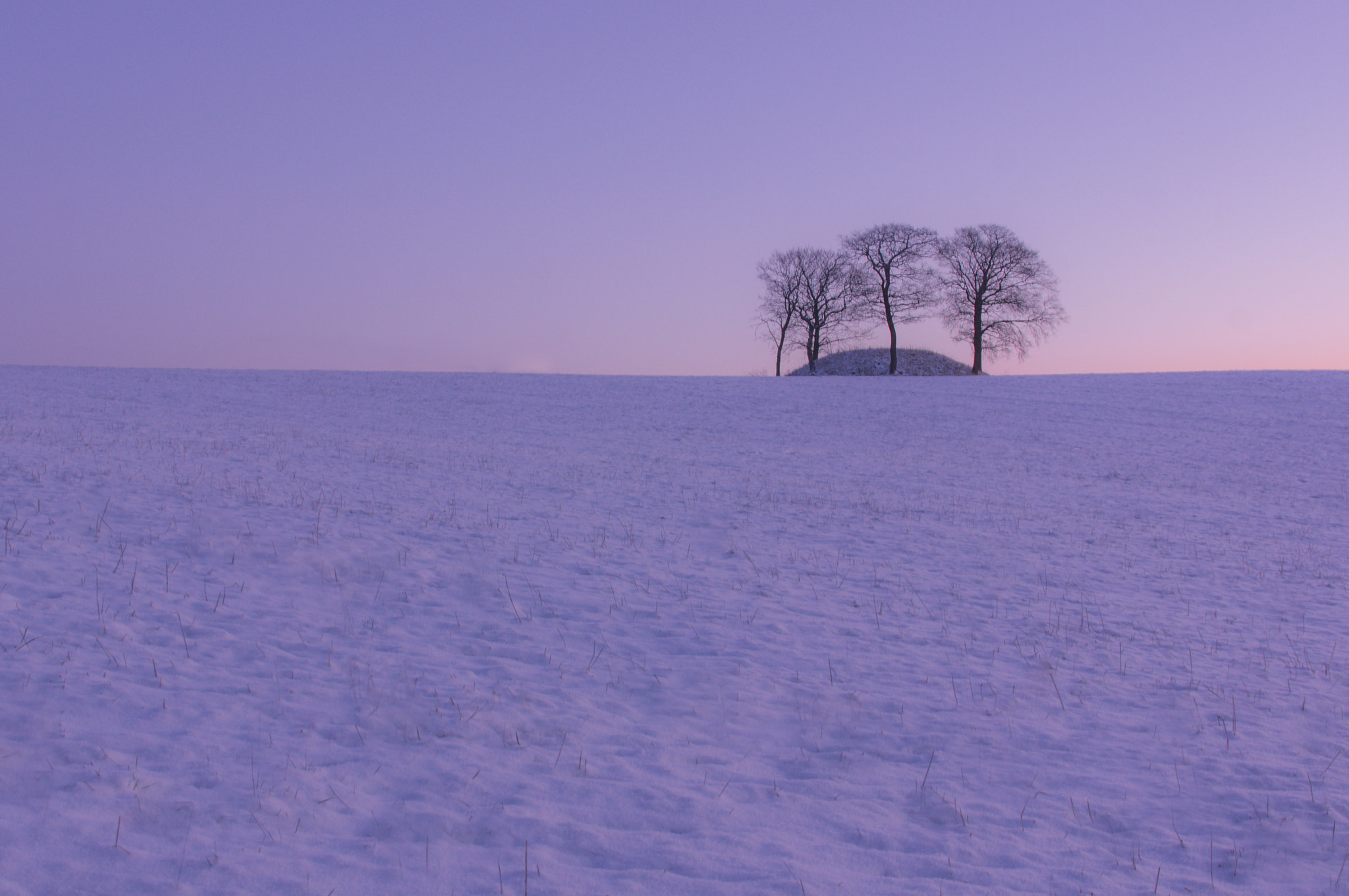 Sony SLT-A55 (SLT-A55V) + Sigma 17-70mm F2.8-4 DC Macro HSM sample photo. Beautiful morning photography