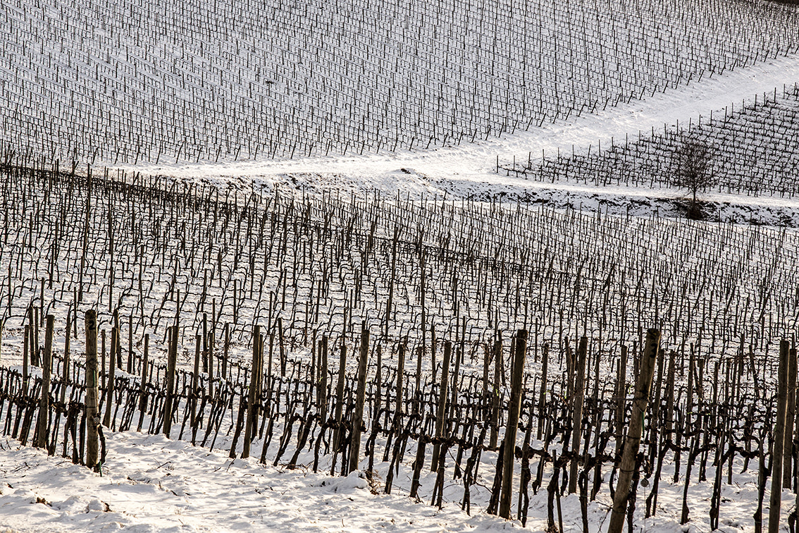 Sigma 17-70mm F2.8-4 DC Macro OS HSM sample photo. Extreme winter photography