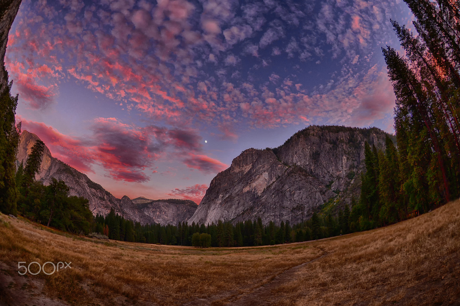 Nikon AF DX Fisheye-Nikkor 10.5mm F2.8G ED sample photo. Yosemite national park - usa photography
