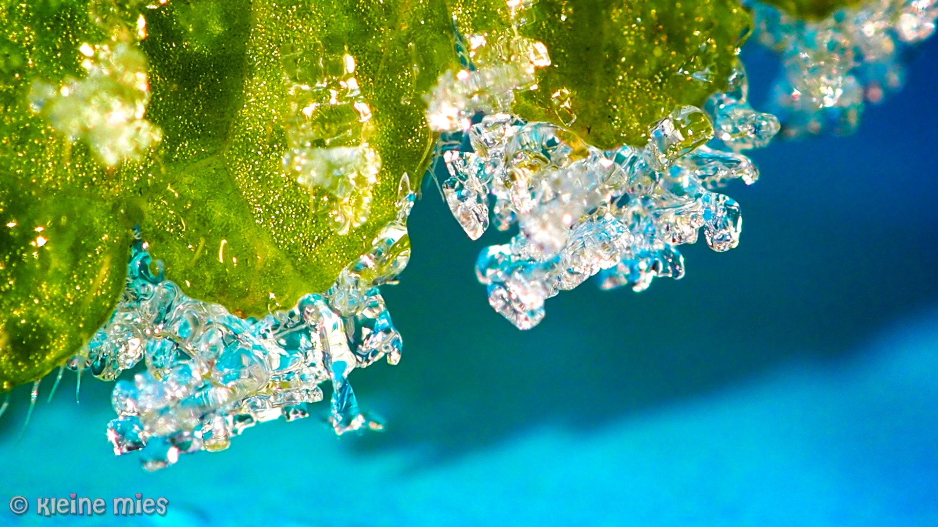 Panasonic Leica DG Macro-Elmarit 45mm F2.8 ASPH OIS sample photo. Blue ice photography