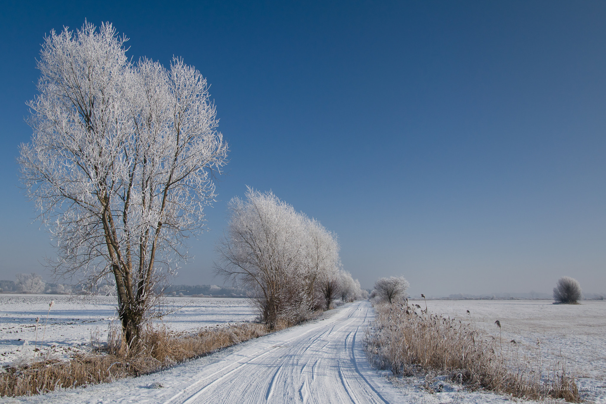 Nikon AF DX Fisheye-Nikkor 10.5mm F2.8G ED sample photo. Winter photography