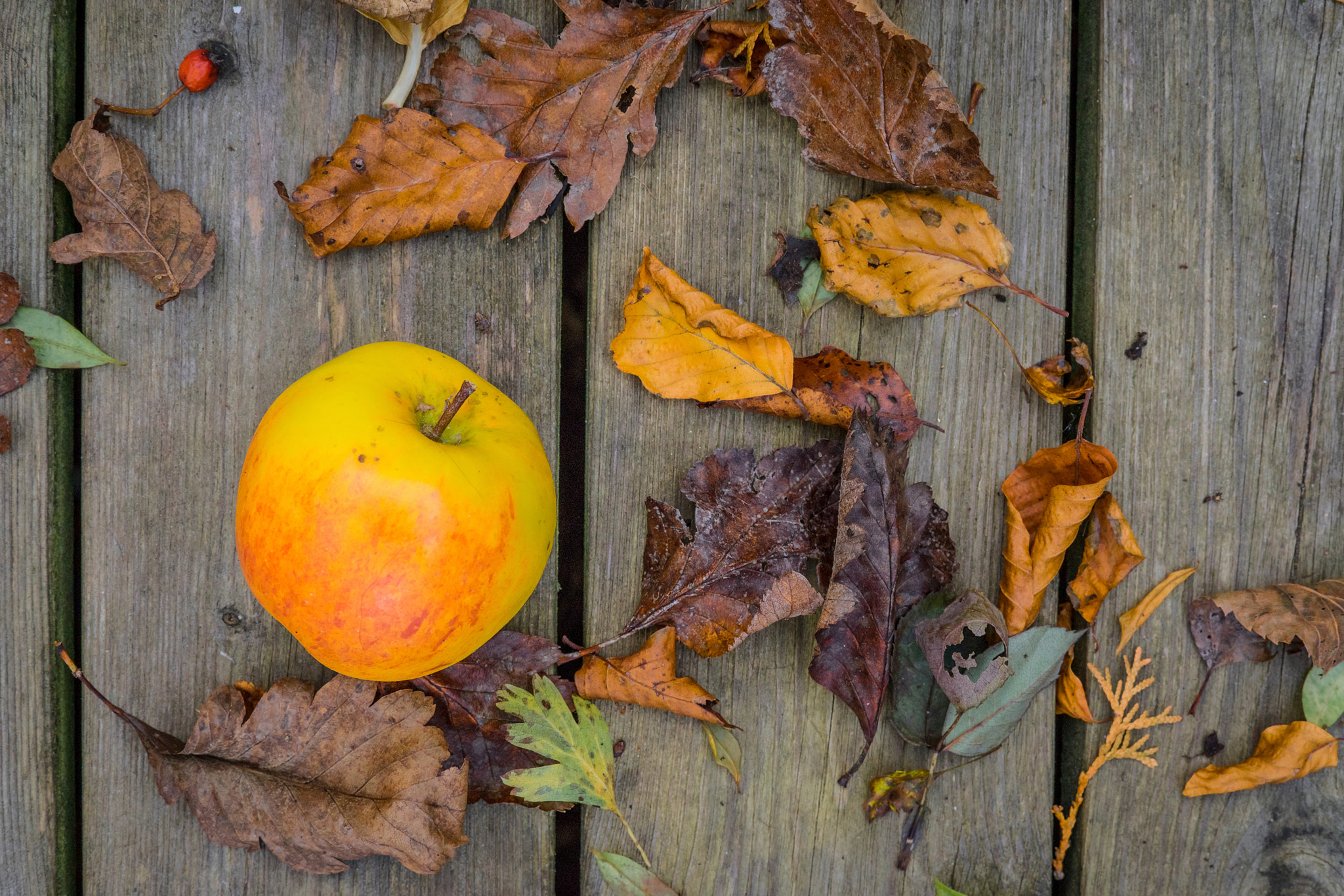 Sony a7R + Sony 50mm F1.4 sample photo. Apple on a wooden background photography