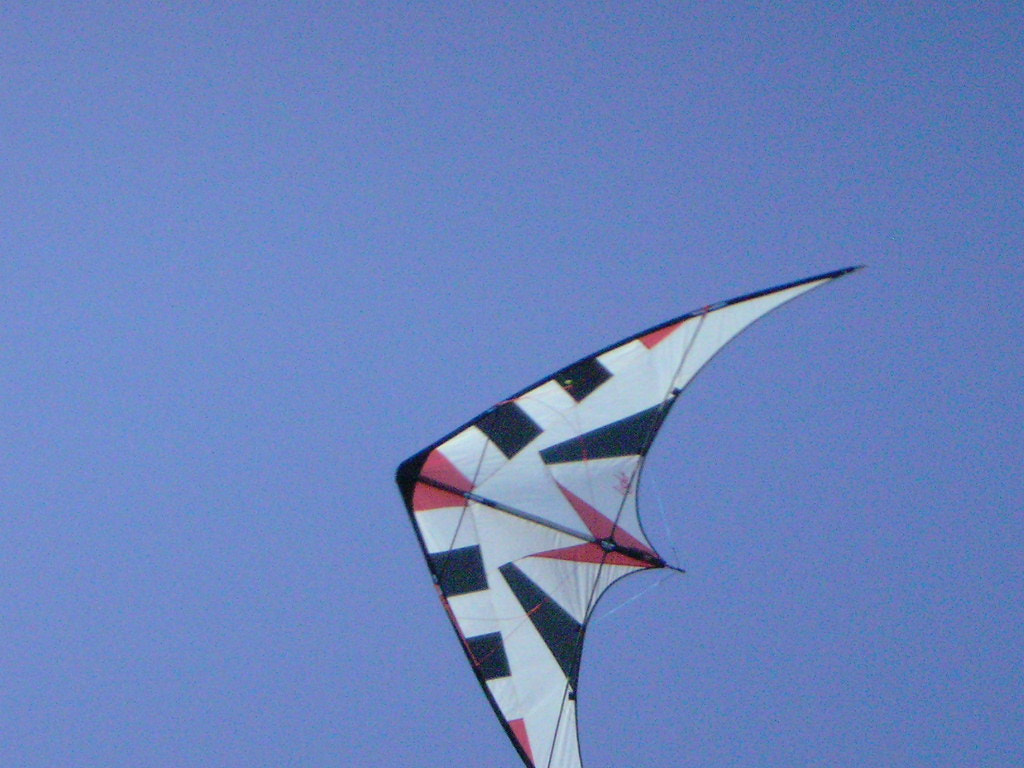 Nikon S1 sample photo. Fly the kite photography