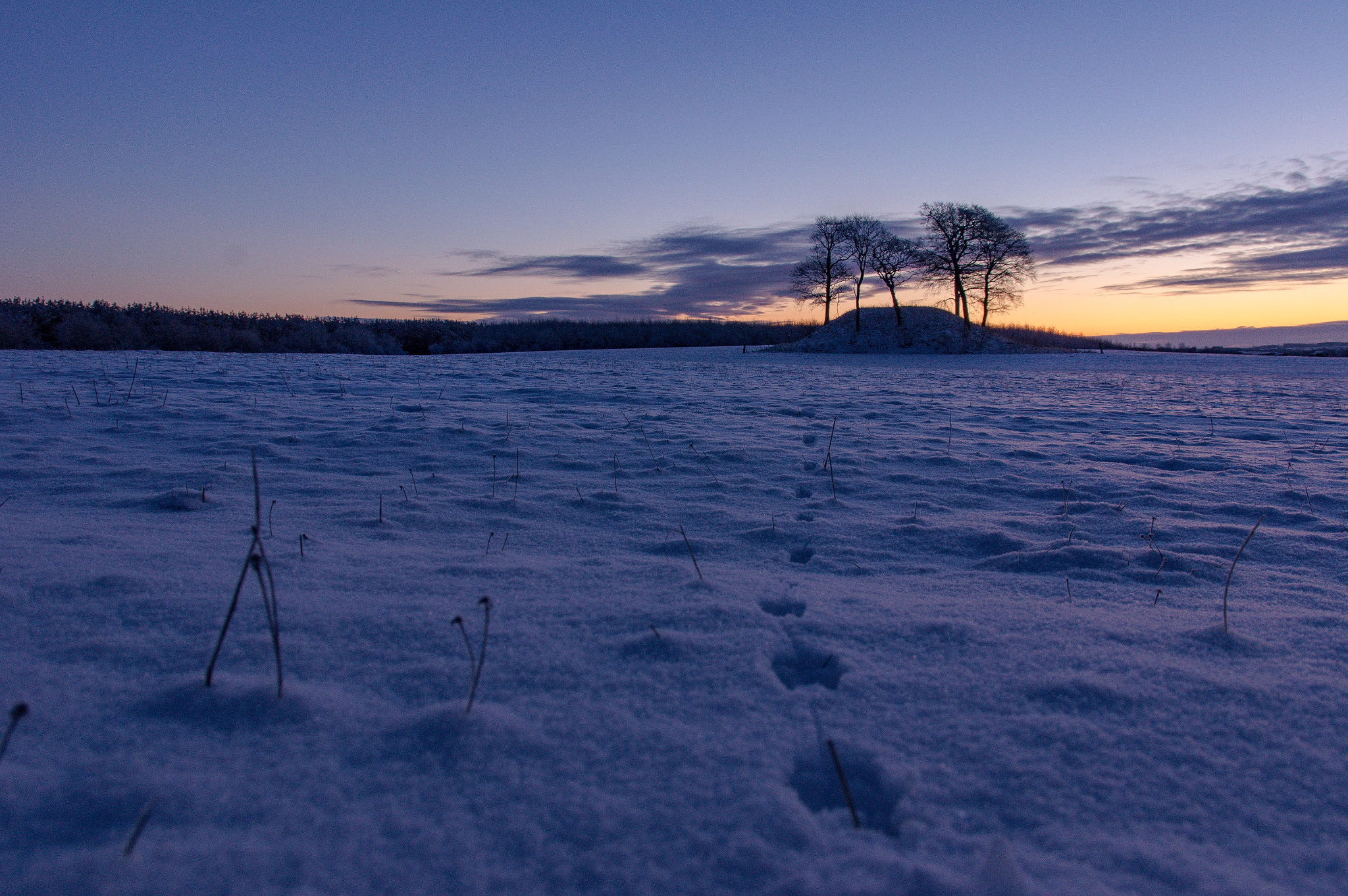 Sigma 17-70mm F2.8-4 DC Macro HSM sample photo. Fresh and cold view photography