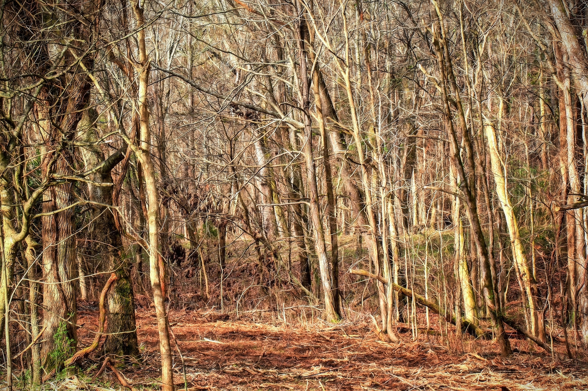 Canon EOS-1D Mark III sample photo. ^recent discussions^ photography