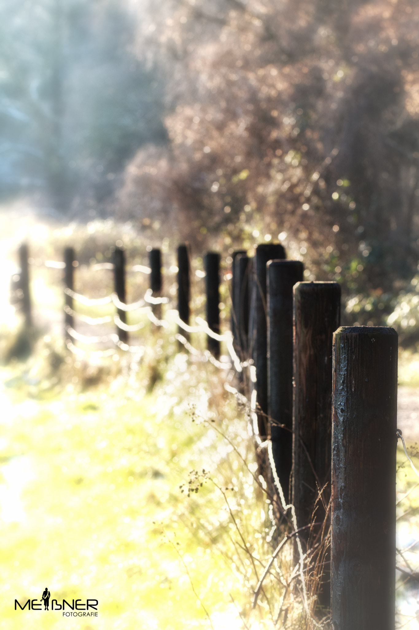 Canon EOS M3 + Canon EF 100mm F2.8L Macro IS USM sample photo. Sunny trail photography