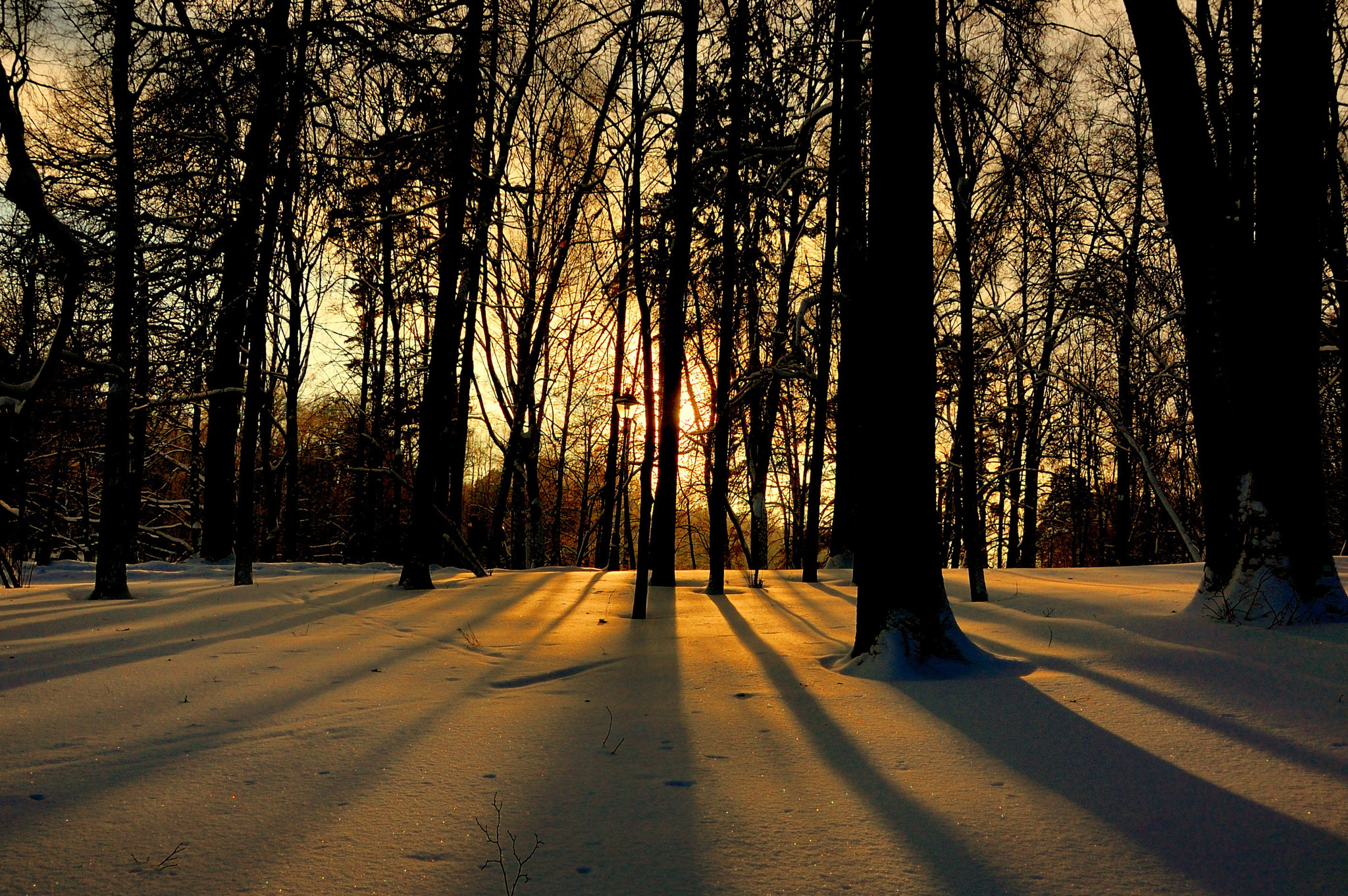Nikon D40 + Sigma 18-50mm F2.8 EX DC Macro sample photo. Warm snow photography