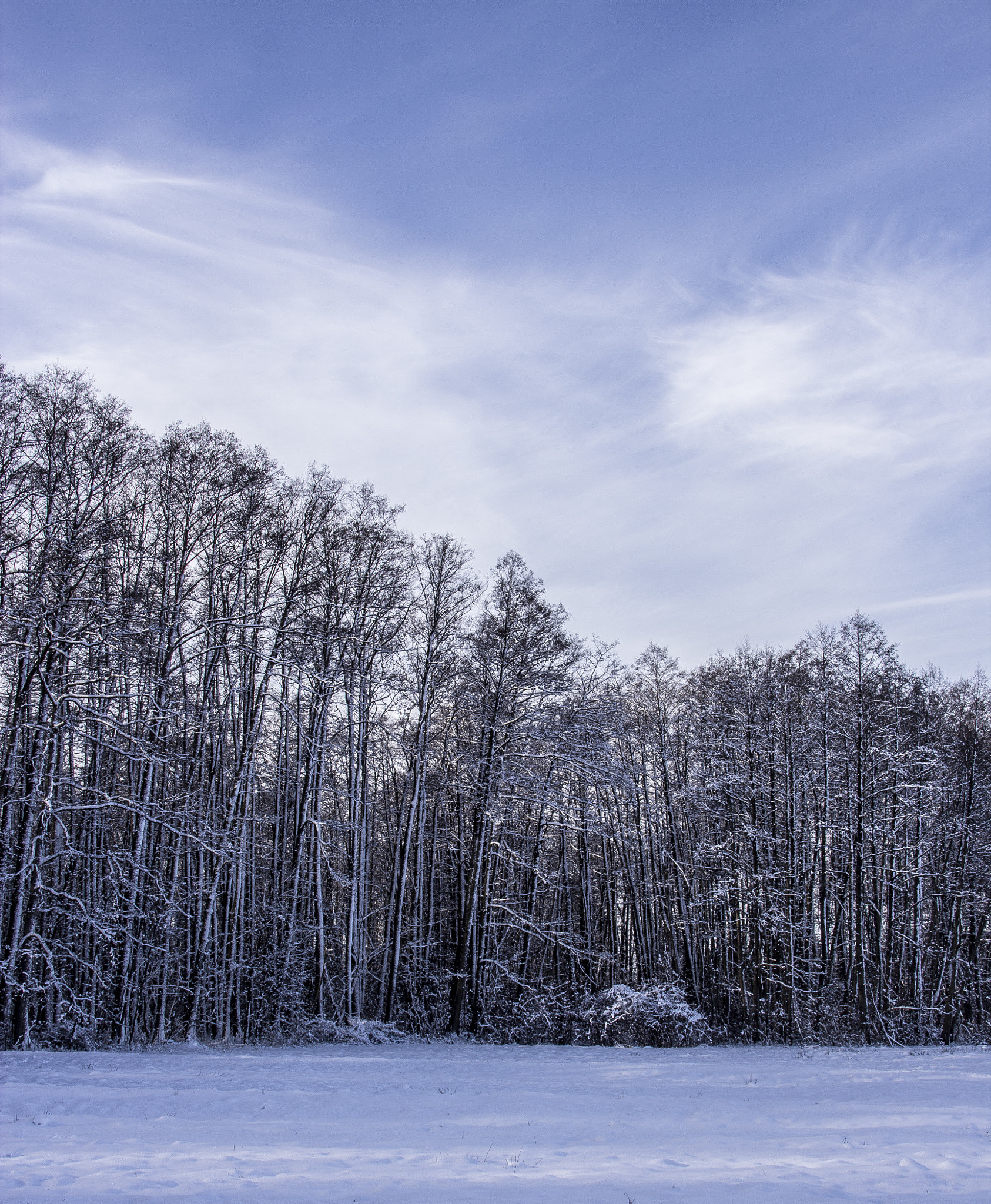 Sigma 18-125mm F3.8-5.6 DC OS HSM sample photo. Blue sky photography