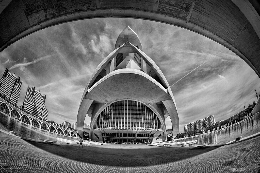 Canon EF 8-15mm F4L Fisheye USM sample photo. _mg_7785.jpg photography