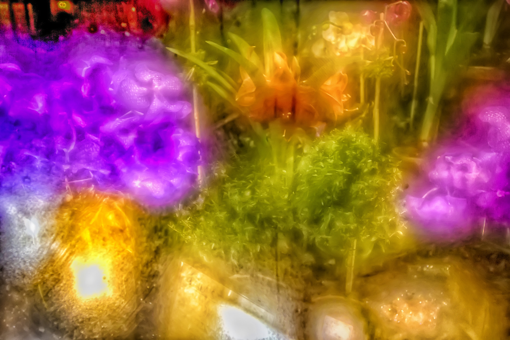 Canon EF 20mm F2.8 USM sample photo. Florist window winter night photography
