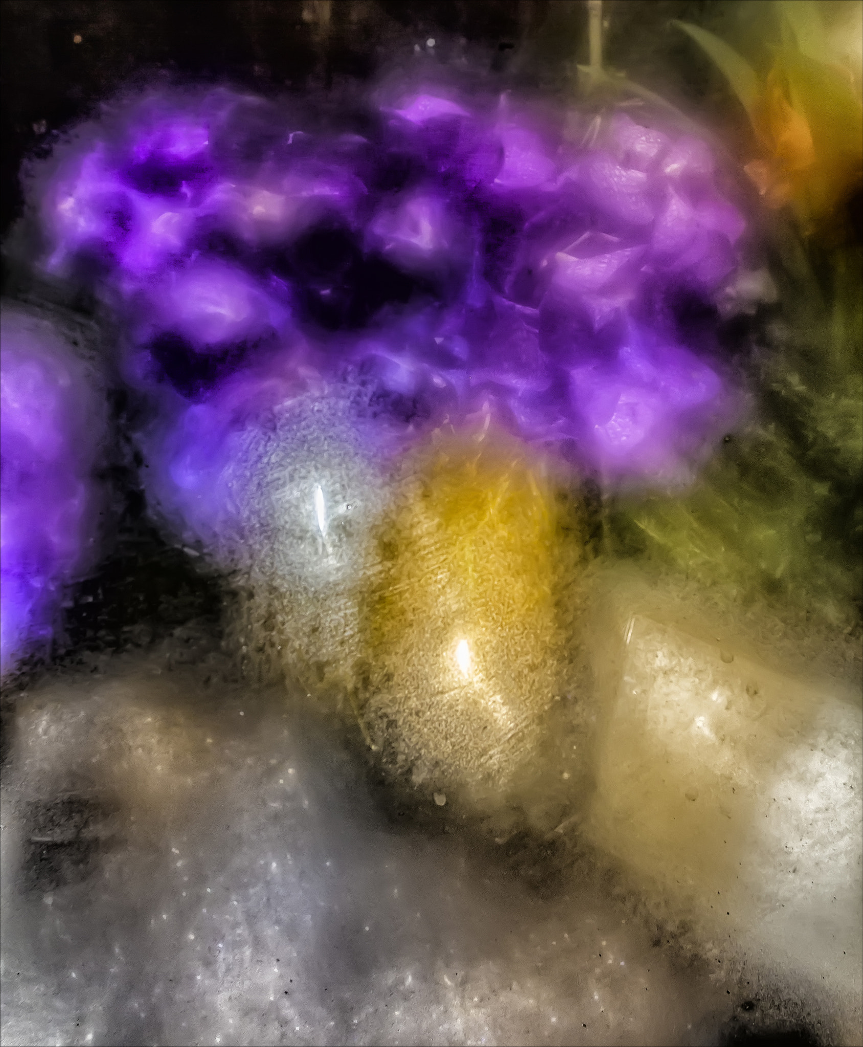 Canon EF 20mm F2.8 USM sample photo. Florist window winter night photography