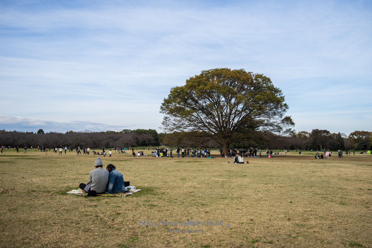 Sony a7 + Canon EF 85mm F1.2L II USM sample photo. Relax time photography