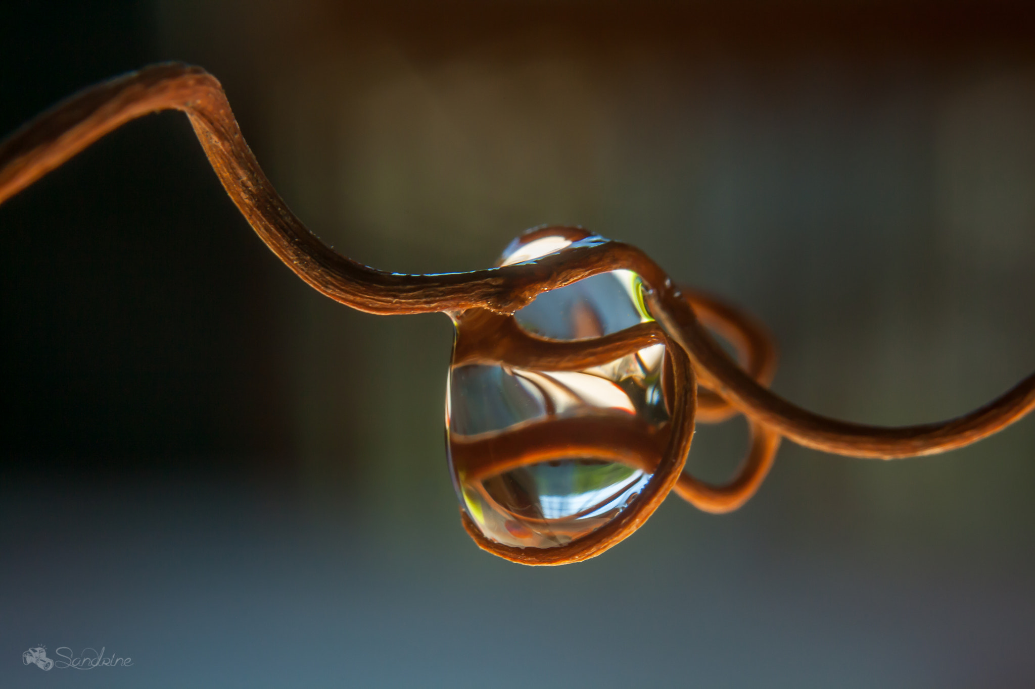 Canon EF 28-80mm f/3.5-5.6 sample photo. Bijou- jewel photography