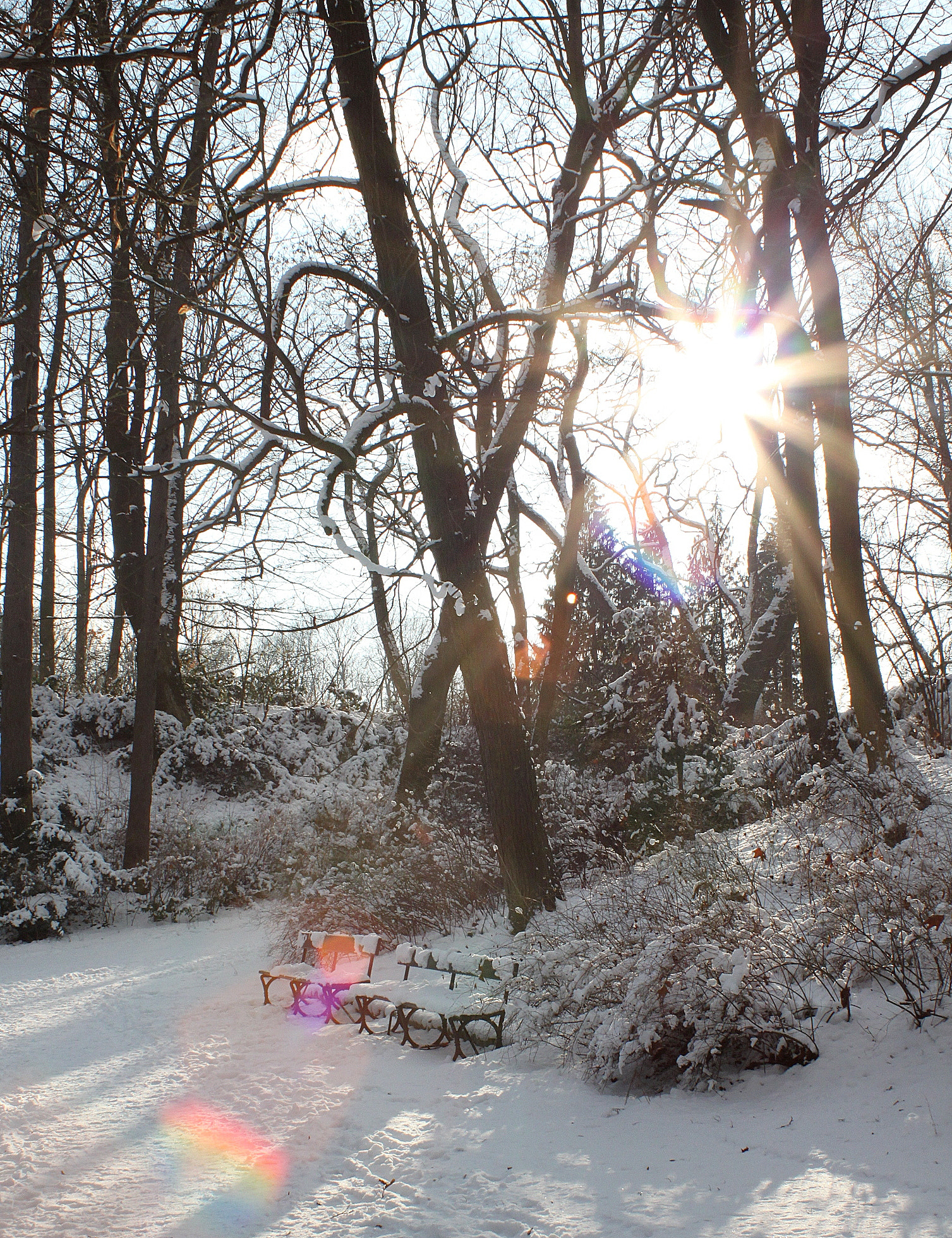 Canon EF 28-90mm f/4-5.6 sample photo. Winter photography
