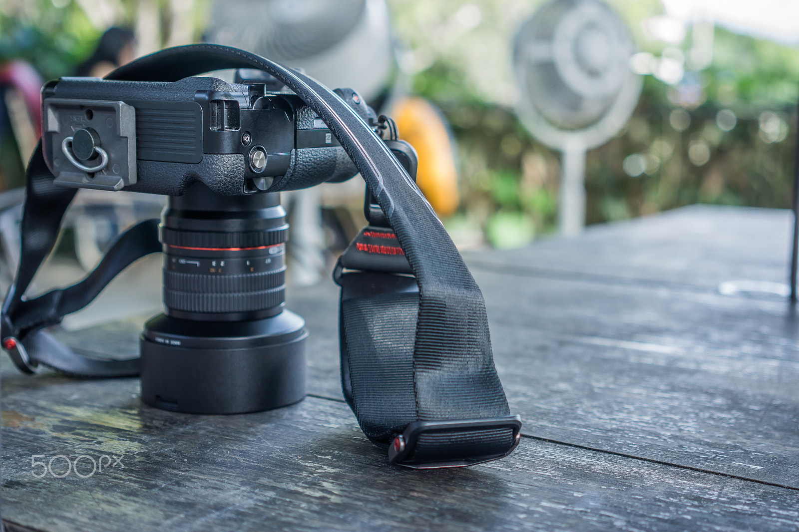Sony a6000 + Sony Sonnar T* FE 35mm F2.8 ZA sample photo. My gear. photography