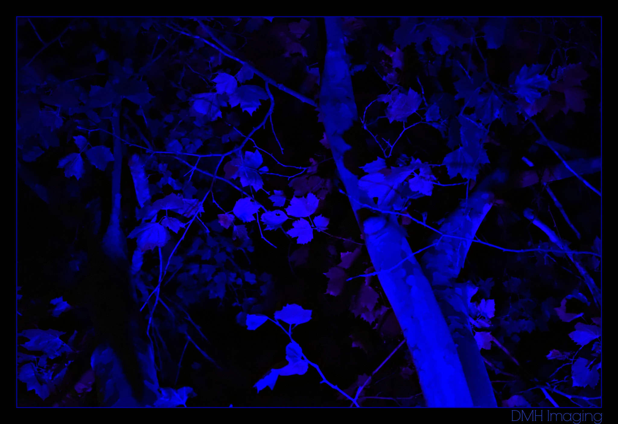 Sony a7S + Sony FE 28-70mm F3.5-5.6 OSS sample photo. The blue hour photography