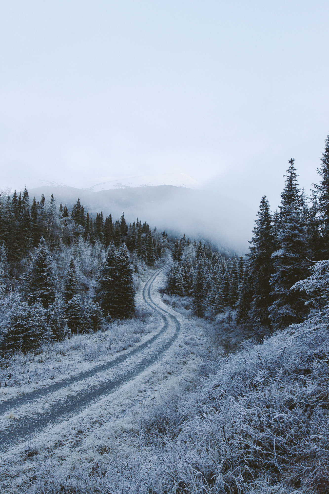 Canon EF 16-35mm F2.8L II USM sample photo. Middle of nowhere, ak photography