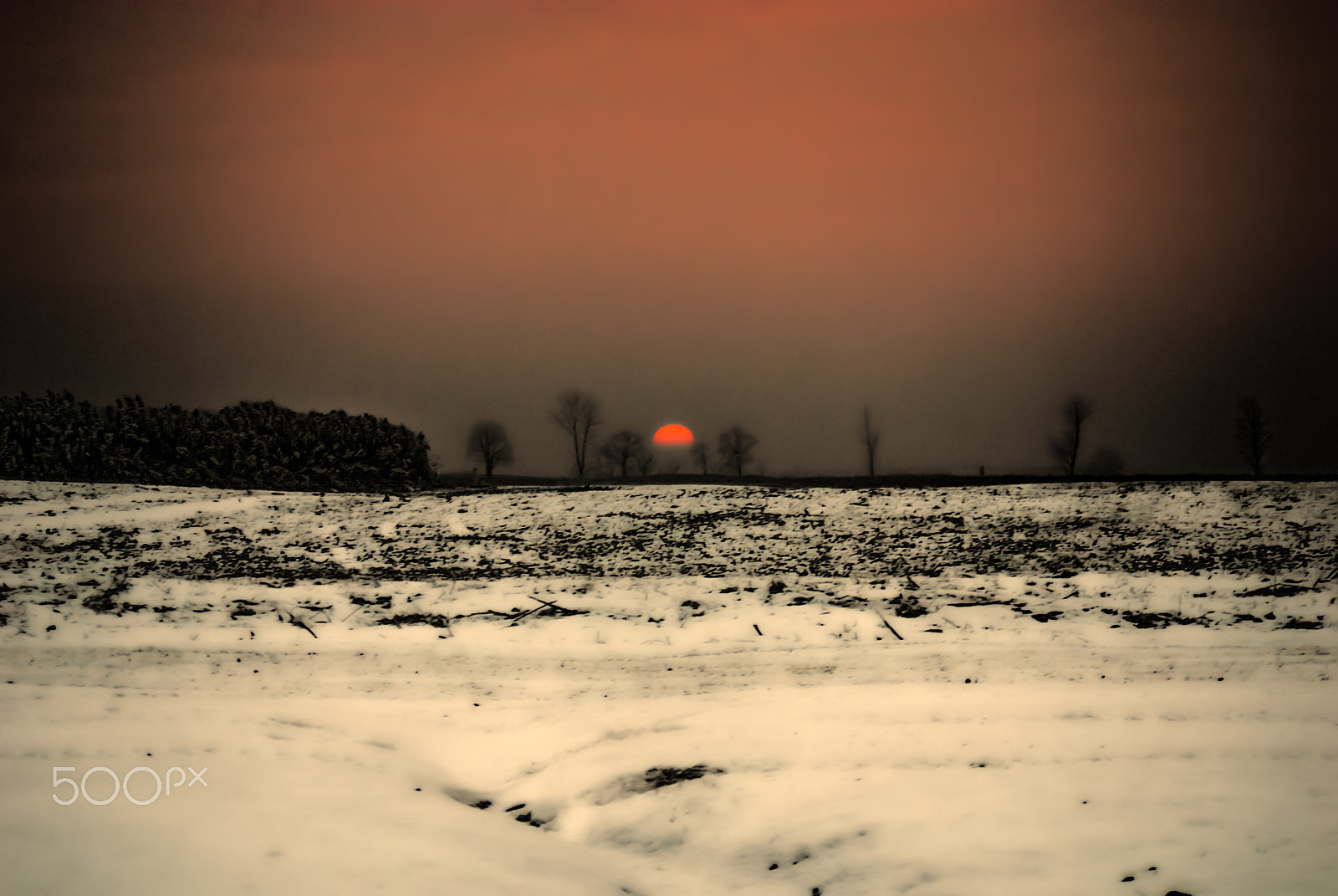 AF Zoom-Nikkor 28-80mm f/3.3-5.6G sample photo. Winter photography