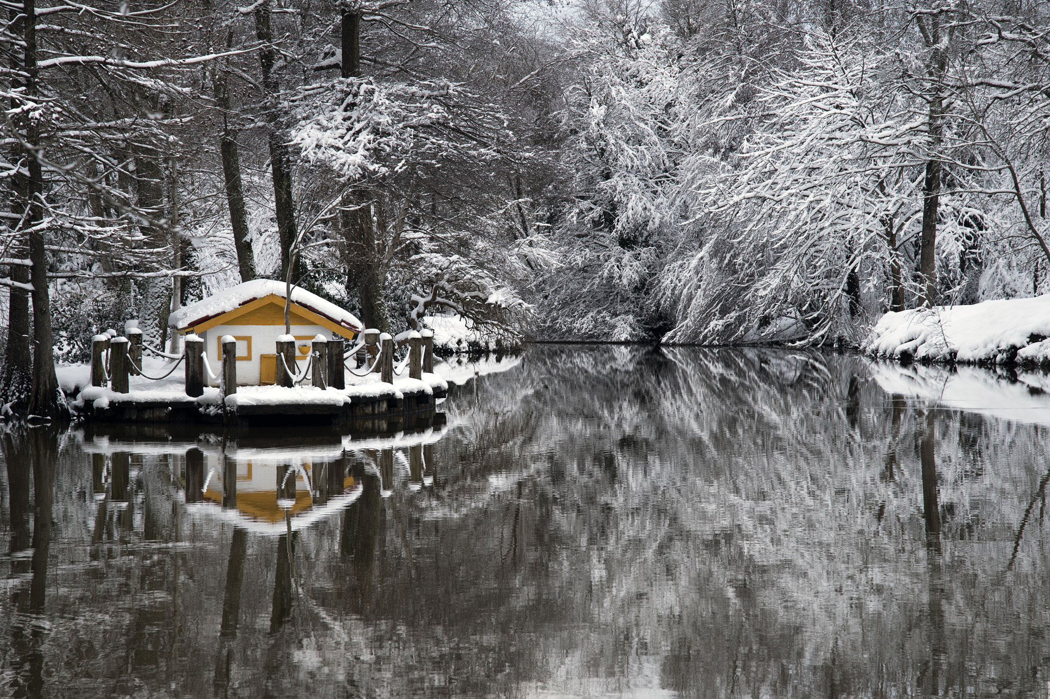 Nikon D4S + Sigma 24-105mm F4 DG OS HSM Art sample photo. Solitude photography