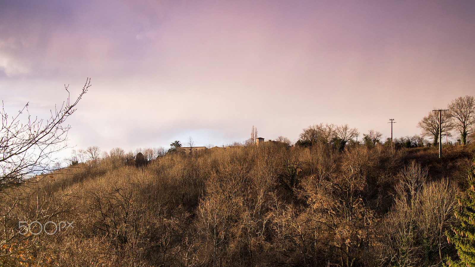 Olympus PEN E-PL5 + Panasonic Lumix G 20mm F1.7 ASPH sample photo. After the rain and the storm photography