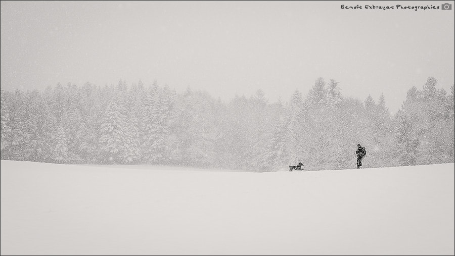 Pentax smc DA* 55mm F1.4 SDM sample photo. L'homme et le chien / the man and the dog photography