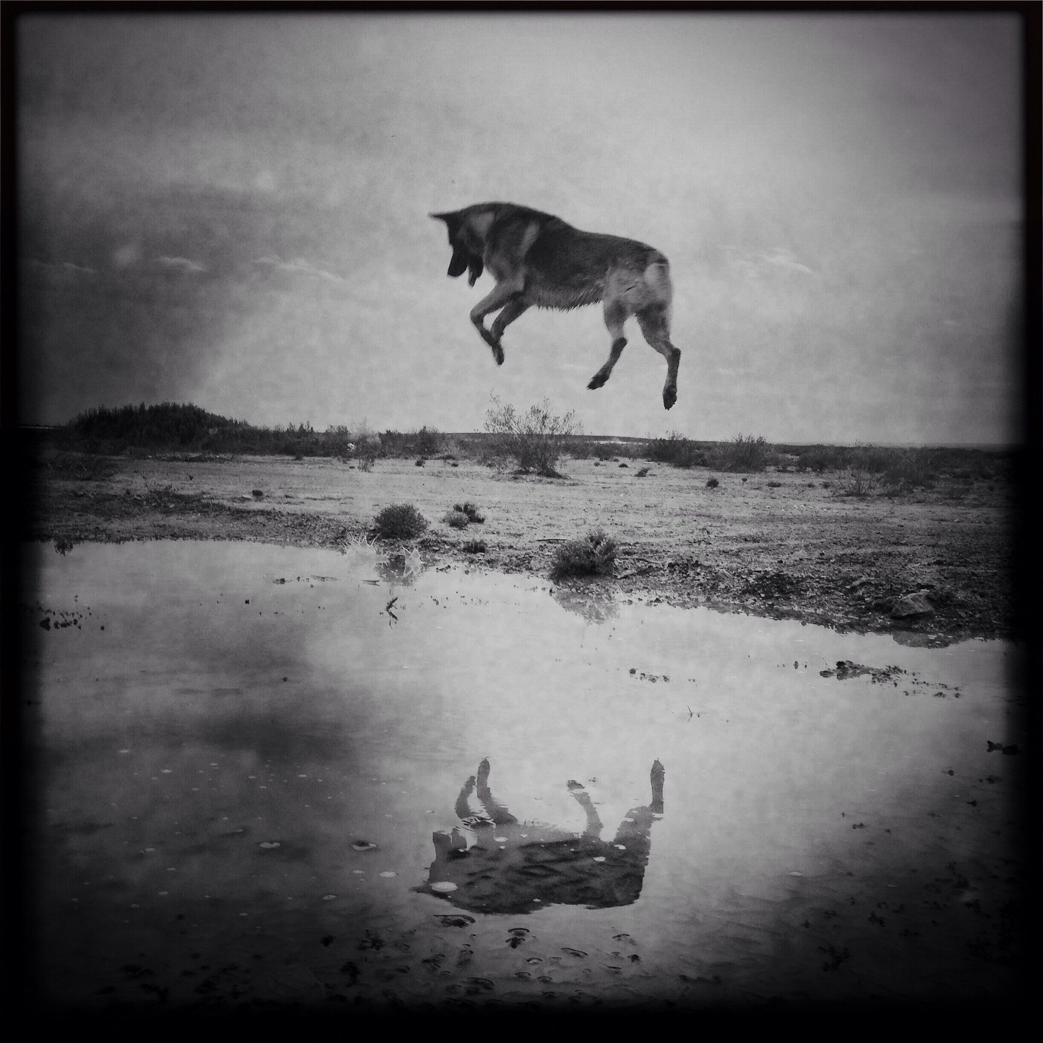 Hipstamatic 277 sample photo. Salinas del gualicho photography