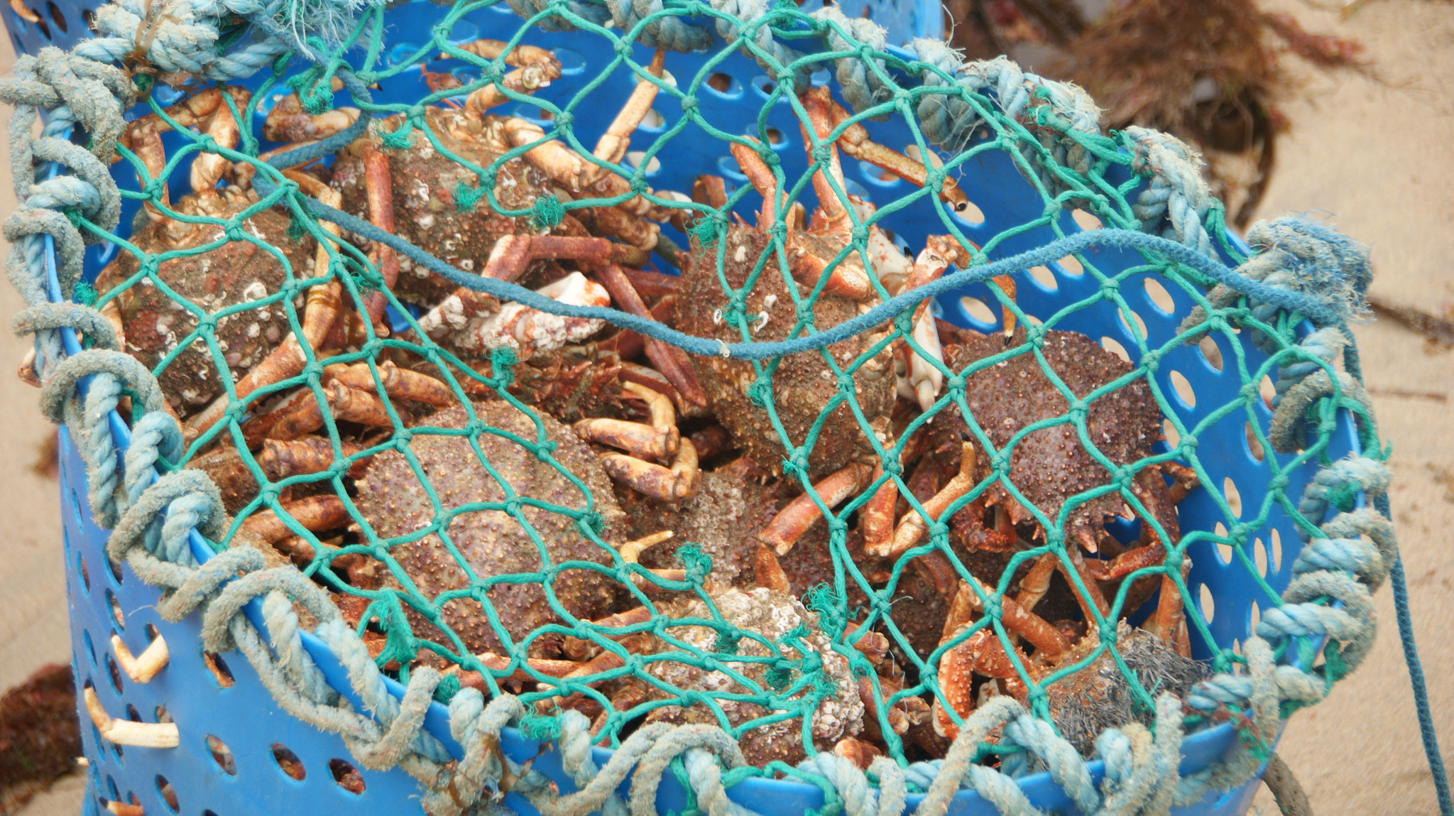 Sony Alpha DSLR-A350 sample photo. Ocean basket, st agnes, cornwall photography