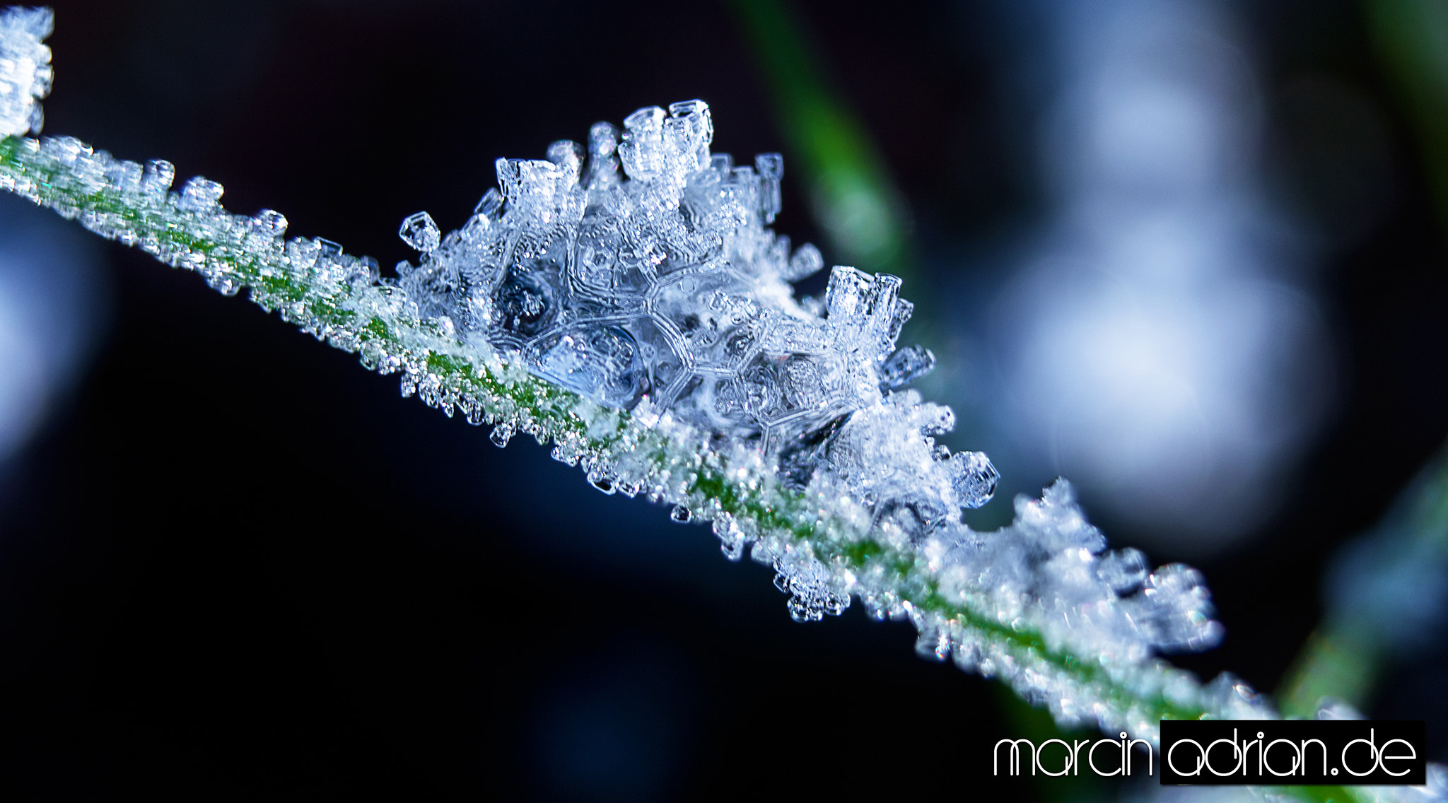 Canon EF-S 18-55mm F3.5-5.6 sample photo. Ice crystals - © marcin adrian www.marcinadrian.de photography