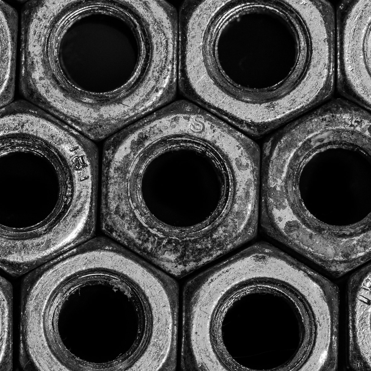 Sigma APO Macro 150mm f/2.8 EX DG HSM sample photo. Nuts photography