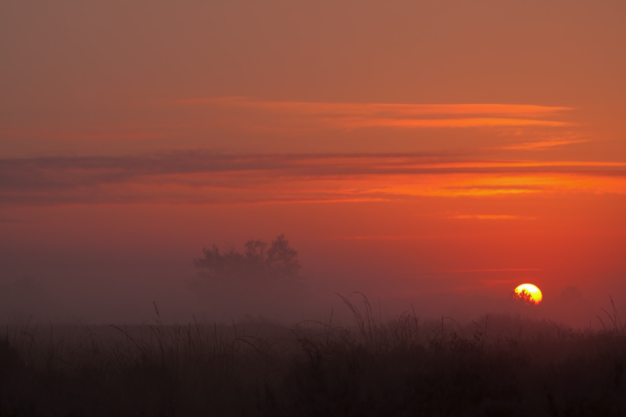 Canon EF 180mm F3.5L Macro USM sample photo. Sunrise photography