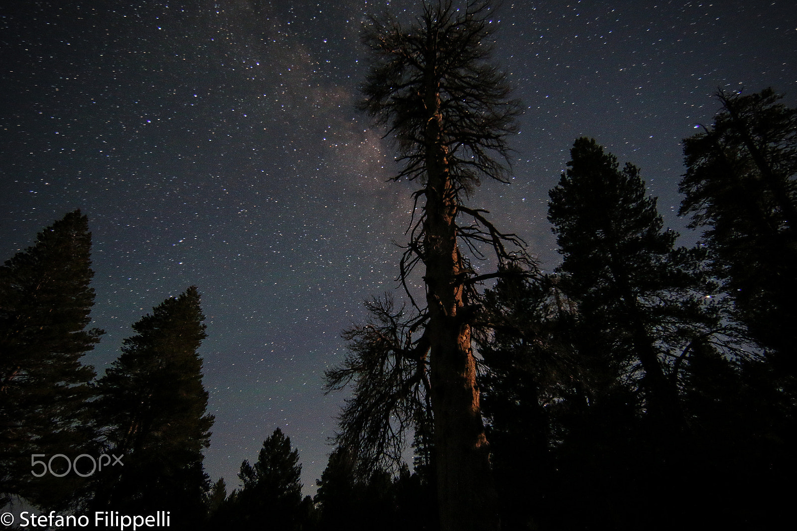 Canon EF 14mm F2.8L II USM sample photo. Rising photography