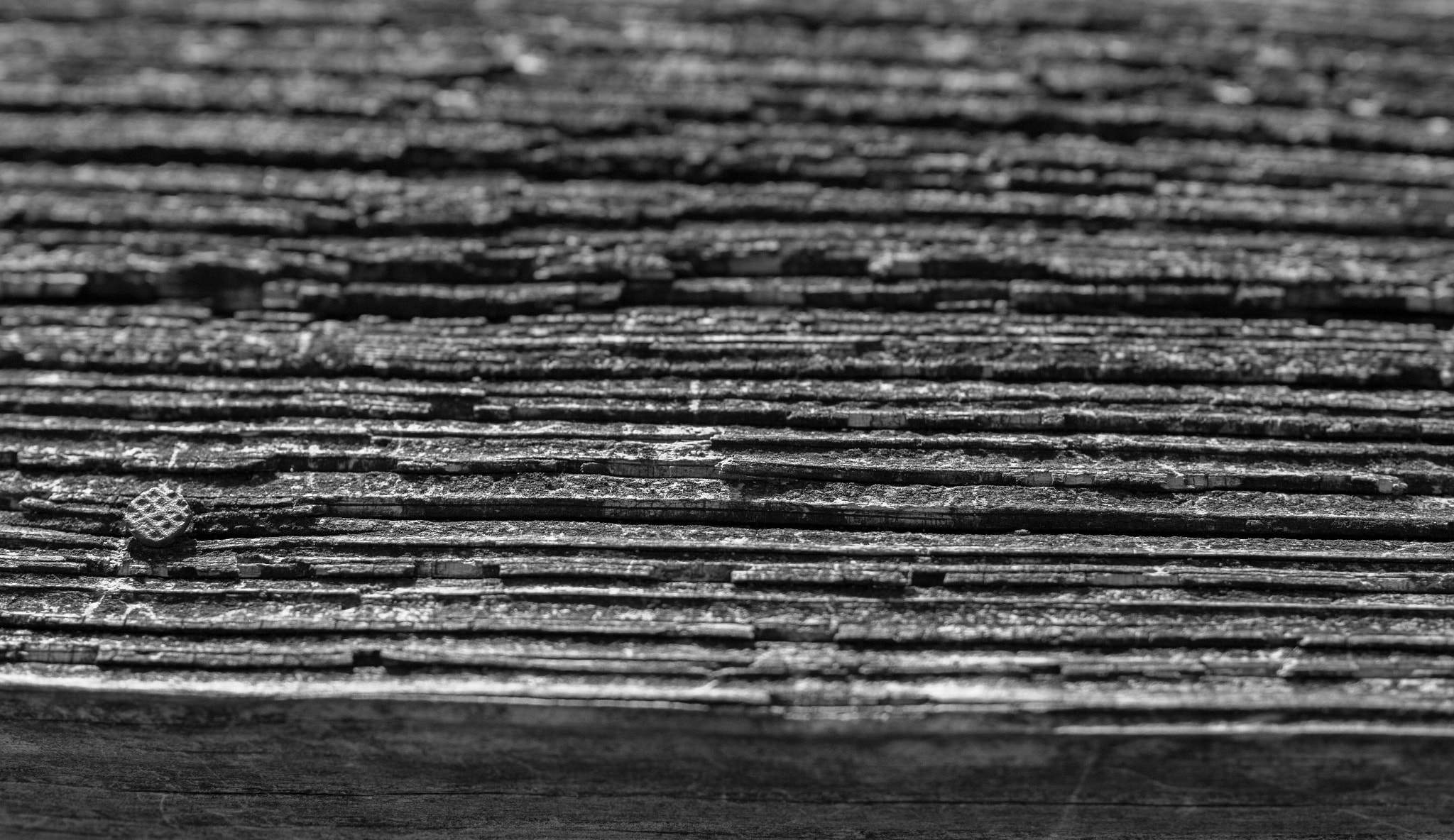 Sigma 30mm F1.4 EX DC HSM sample photo. Black and white photography