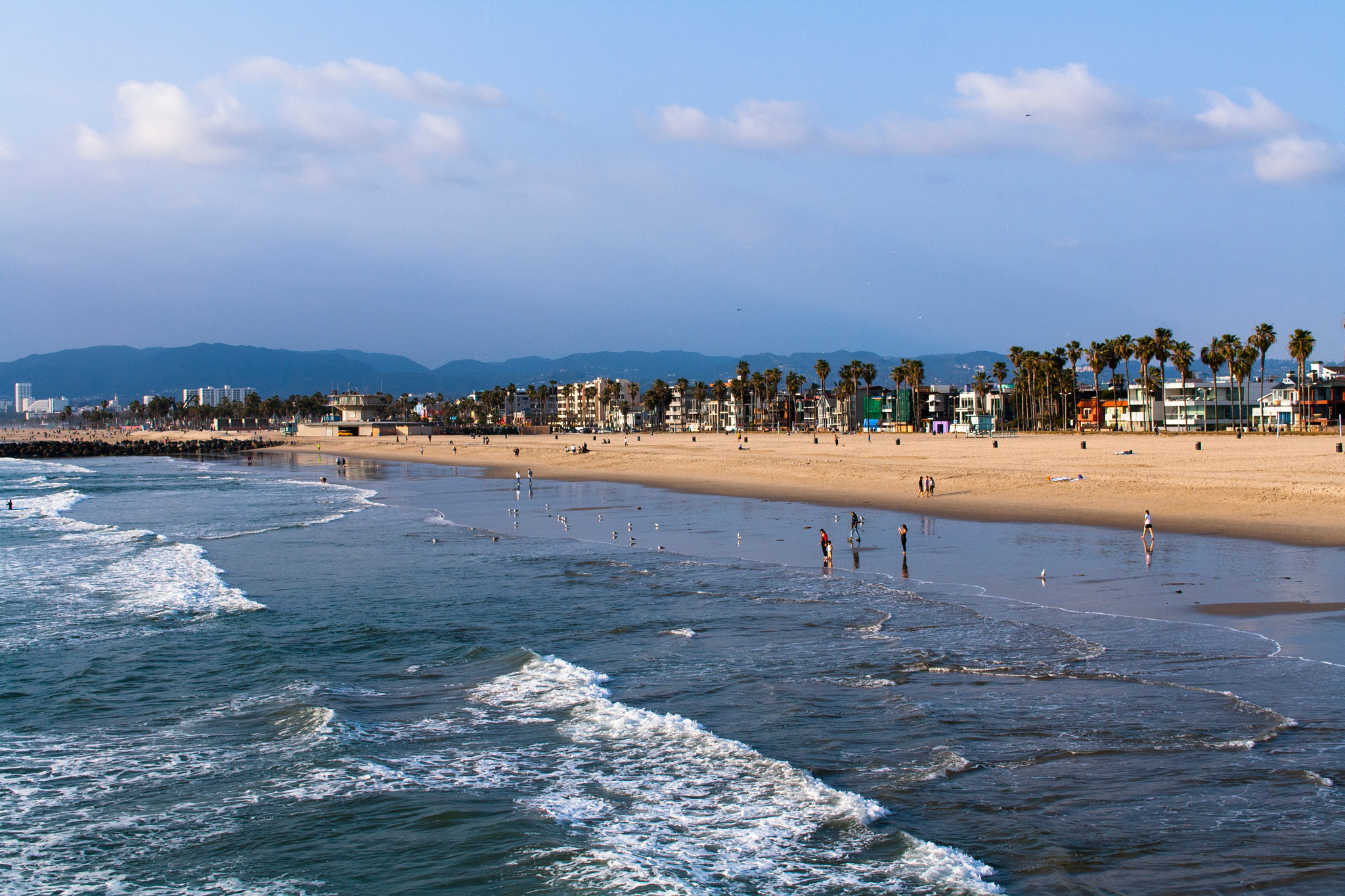 Sigma 30mm F1.4 EX DC HSM sample photo. Venice beach photography