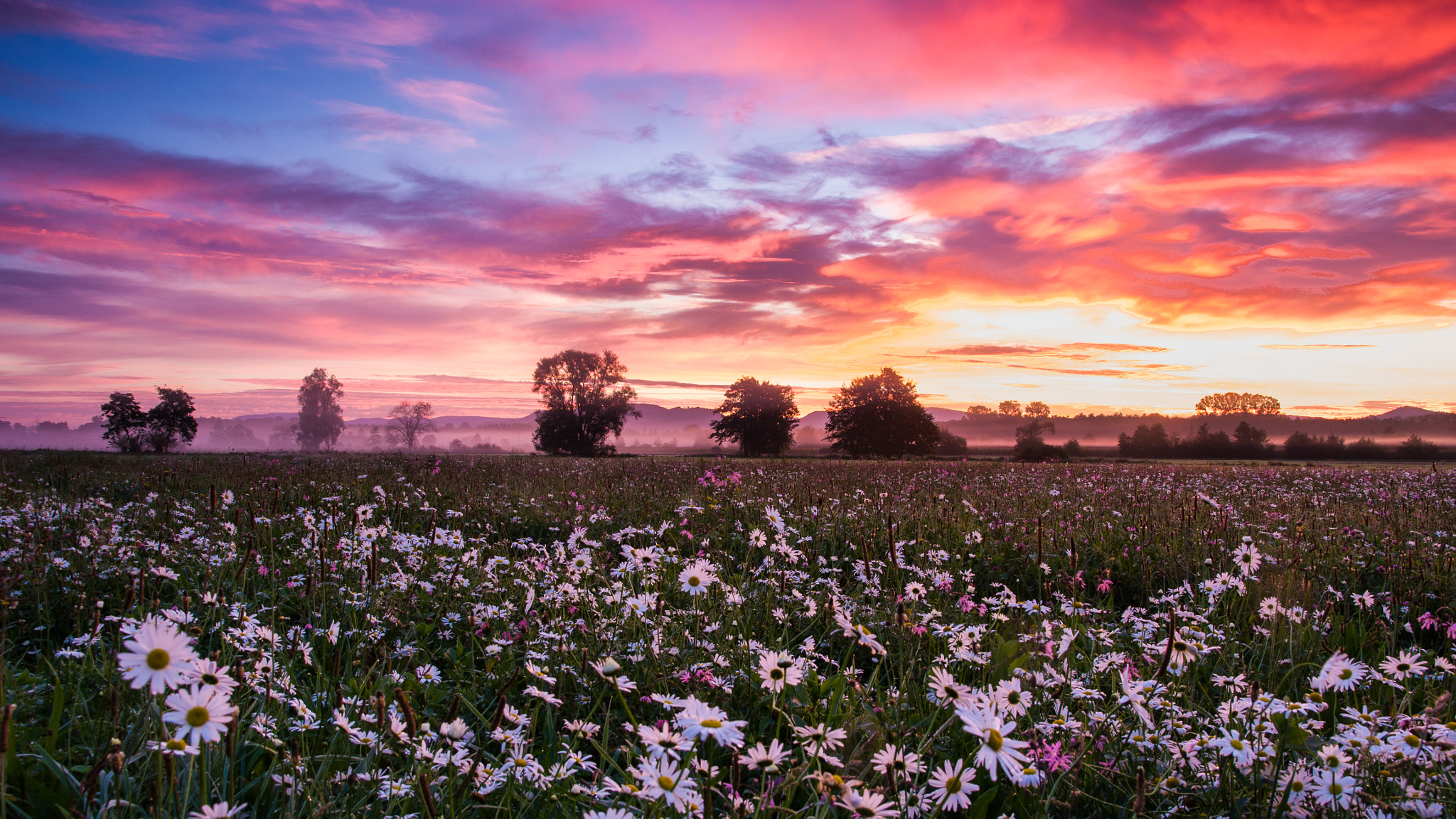 Sigma AF 10-20mm F4-5.6 EX DC sample photo. Colourful sunrise photography