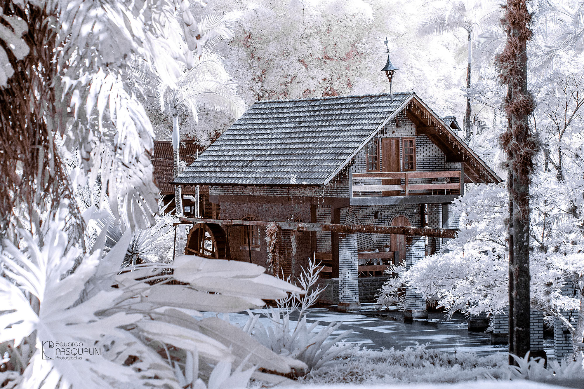Canon EOS 30D sample photo. House mill photography
