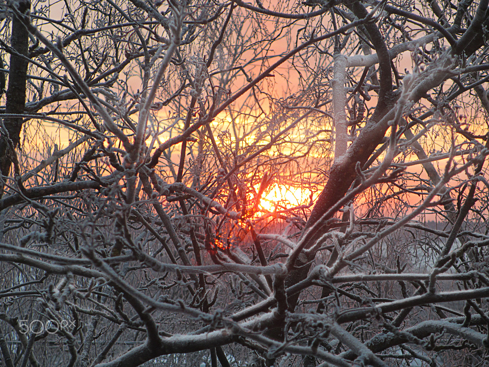 Canon PowerShot ELPH 310 HS (IXUS 230 HS / IXY 600F) sample photo. Red sunrise.ringing frost. photography