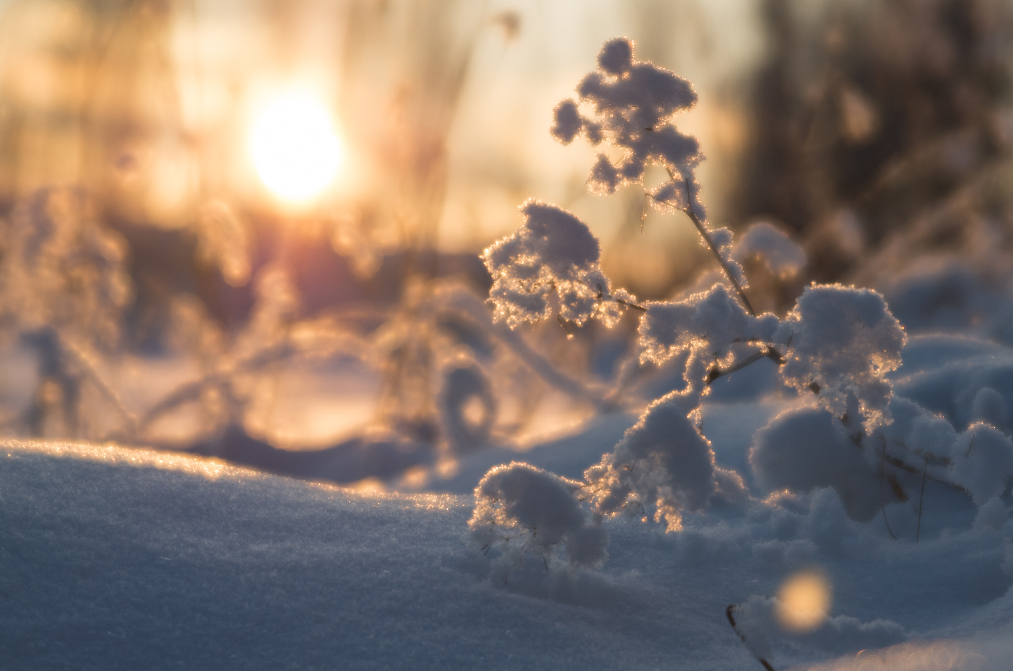 smc PENTAX-FA SOFT 85mm F2.8 sample photo. Hundred miles away photography