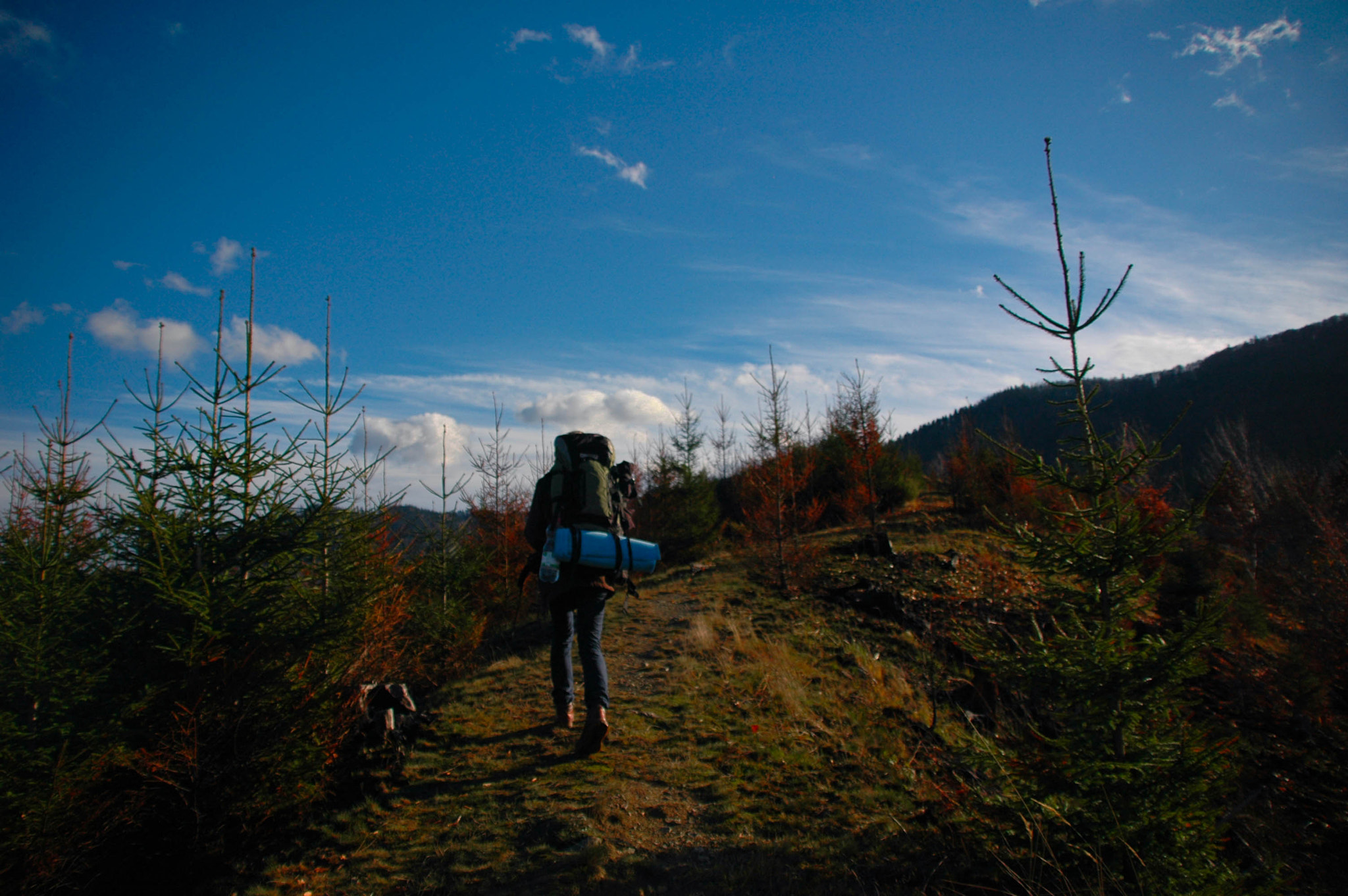 Nikon D70 + Sigma 18-200mm F3.5-6.3 DC sample photo. 20151114-dsc_0033.jpg photography