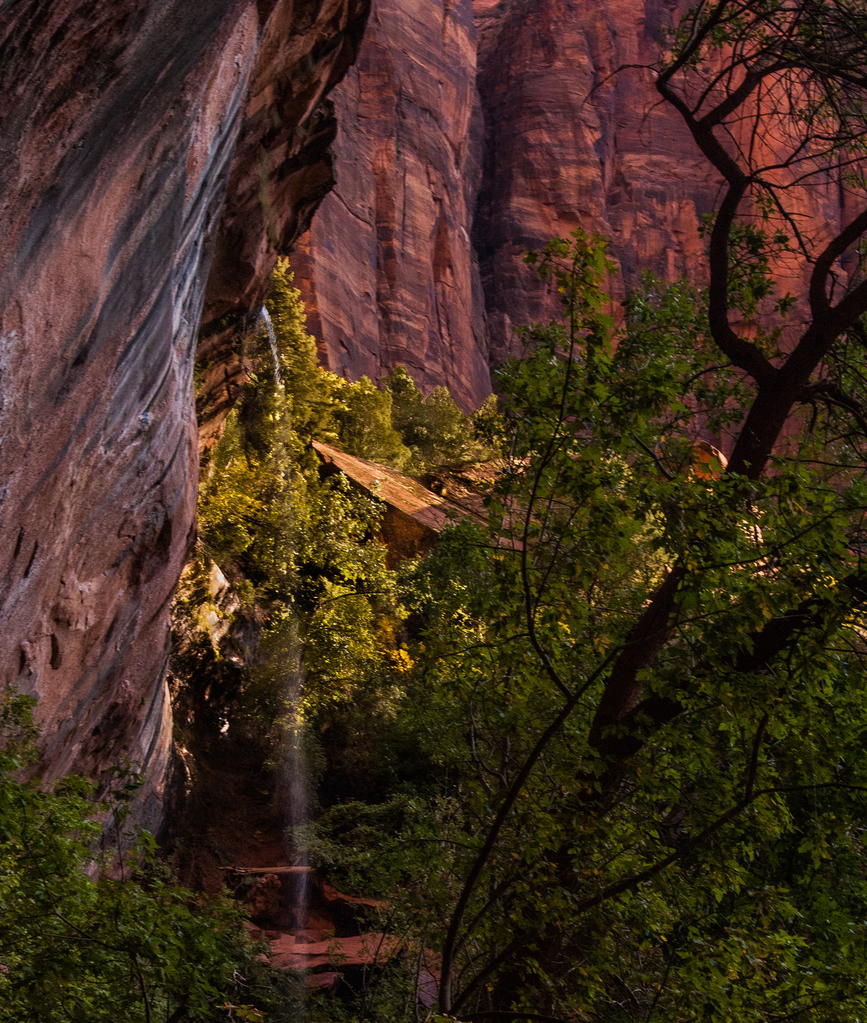 Nikon D2X sample photo. Zion canyon waterfall photography