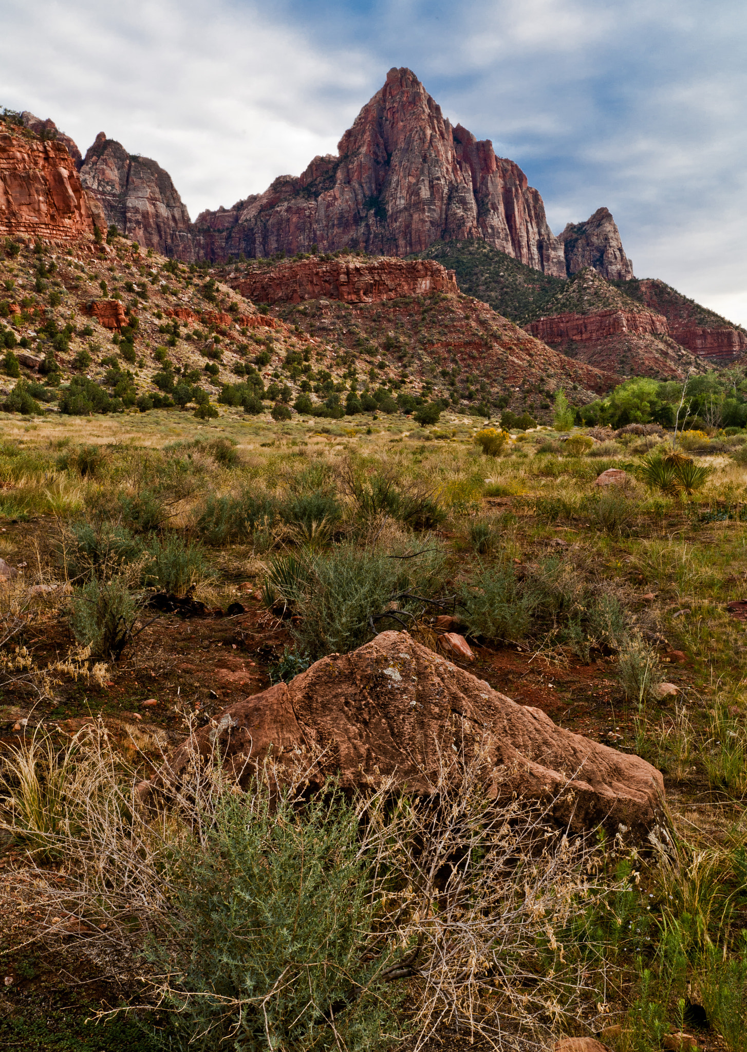 Nikon AF-S Nikkor 17-35mm F2.8D ED-IF sample photo. Zion master photography