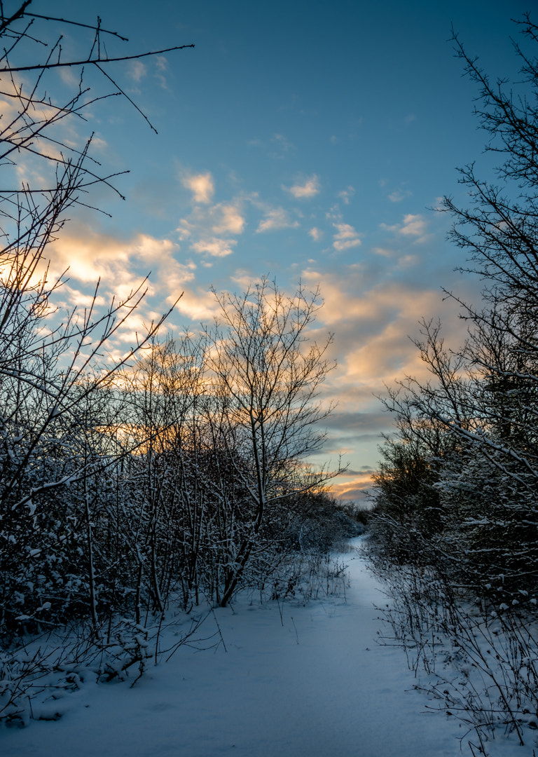 Pentax K-5 II + Sigma 18-200mm F3.5-6.3 II DC OS HSM sample photo. Winters path photography