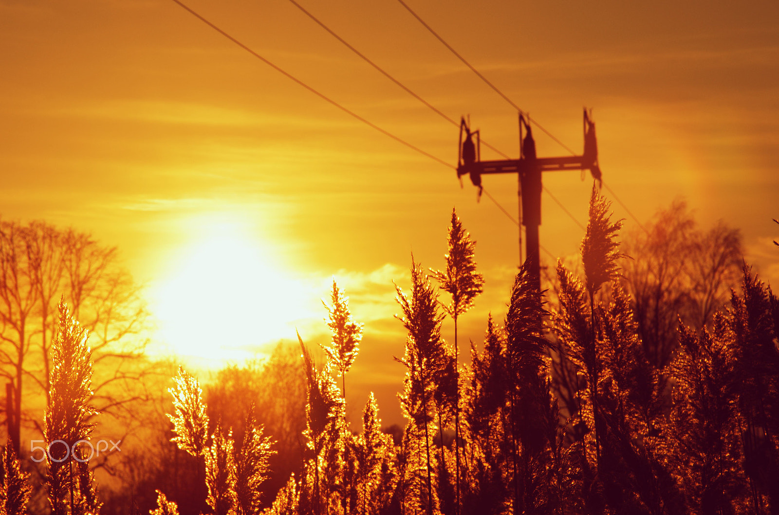 18.00 - 105.00 mm f/3.5 - 5.6 sample photo. Just sunset photography