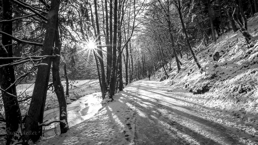 Sigma 10-20mm F3.5 EX DC HSM sample photo. Winterwalk photography