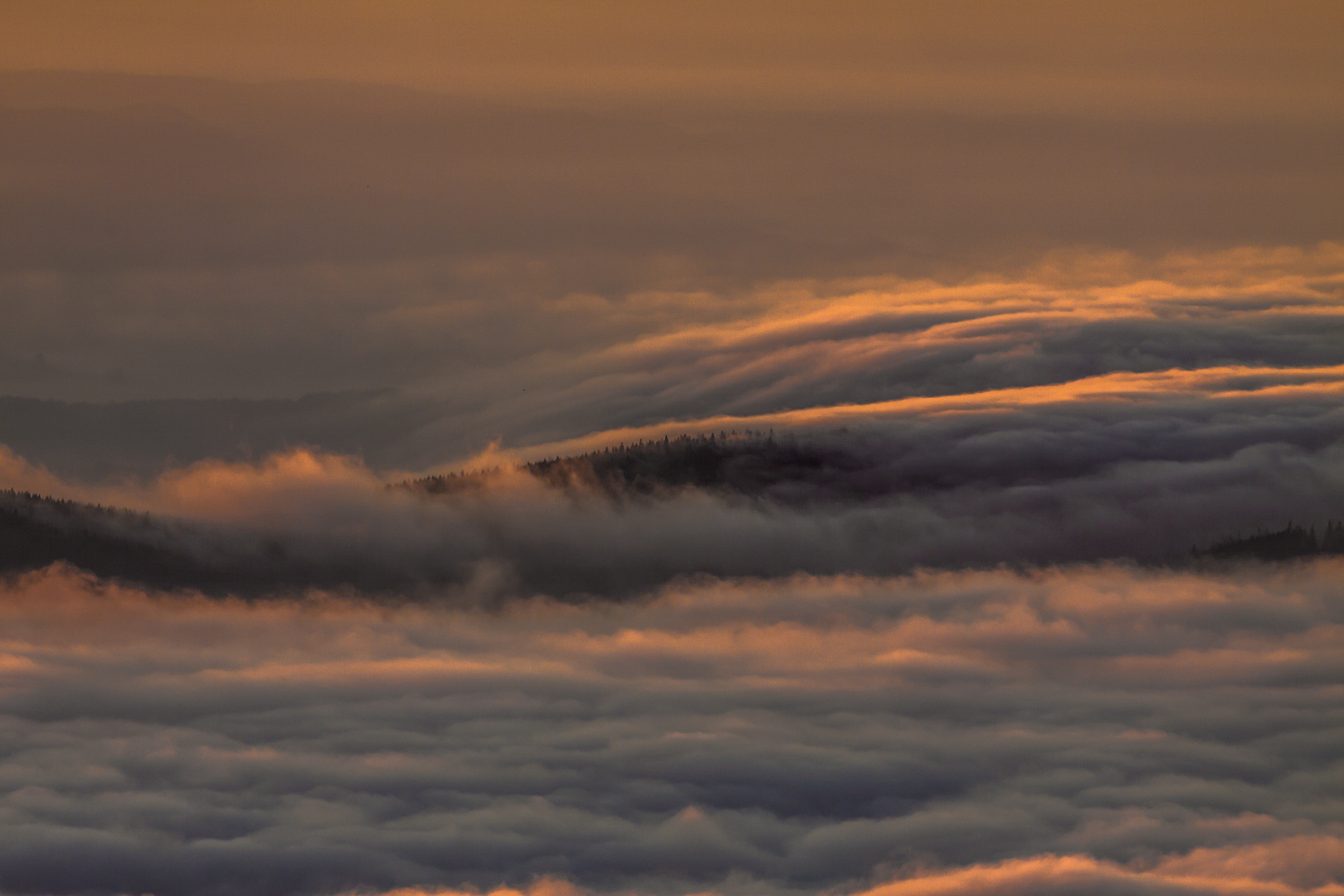 Canon EOS 50D + Canon EF 300mm F4L IS USM sample photo. Fogbound photography