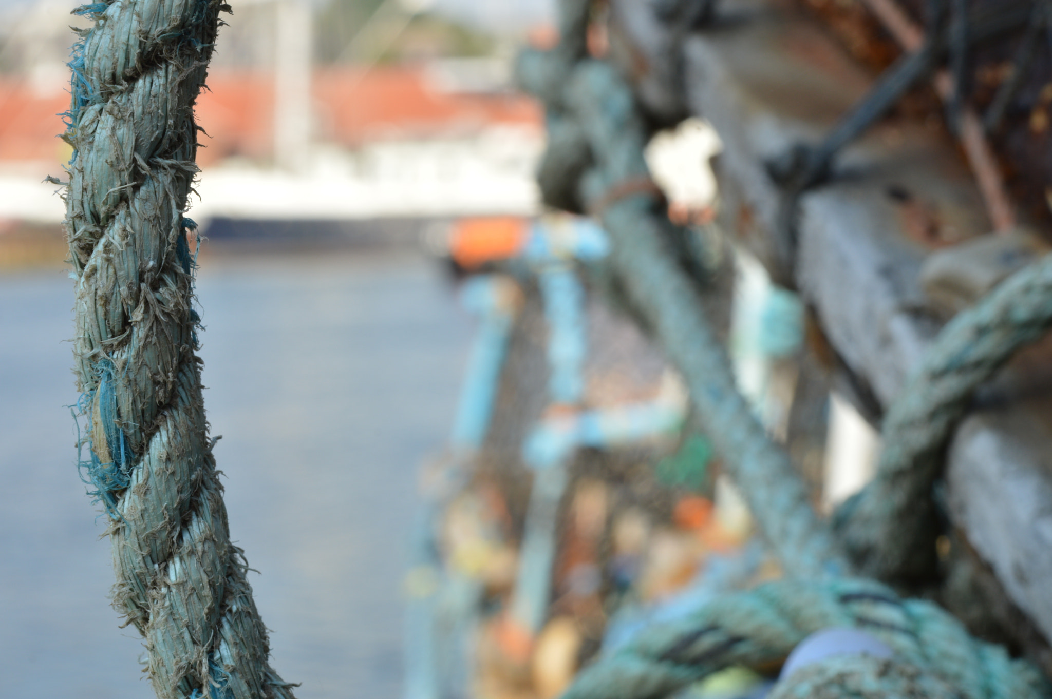 Nikon AF-S Micro-Nikkor 60mm F2.8G ED sample photo. Seaside visit 2015 uk photography