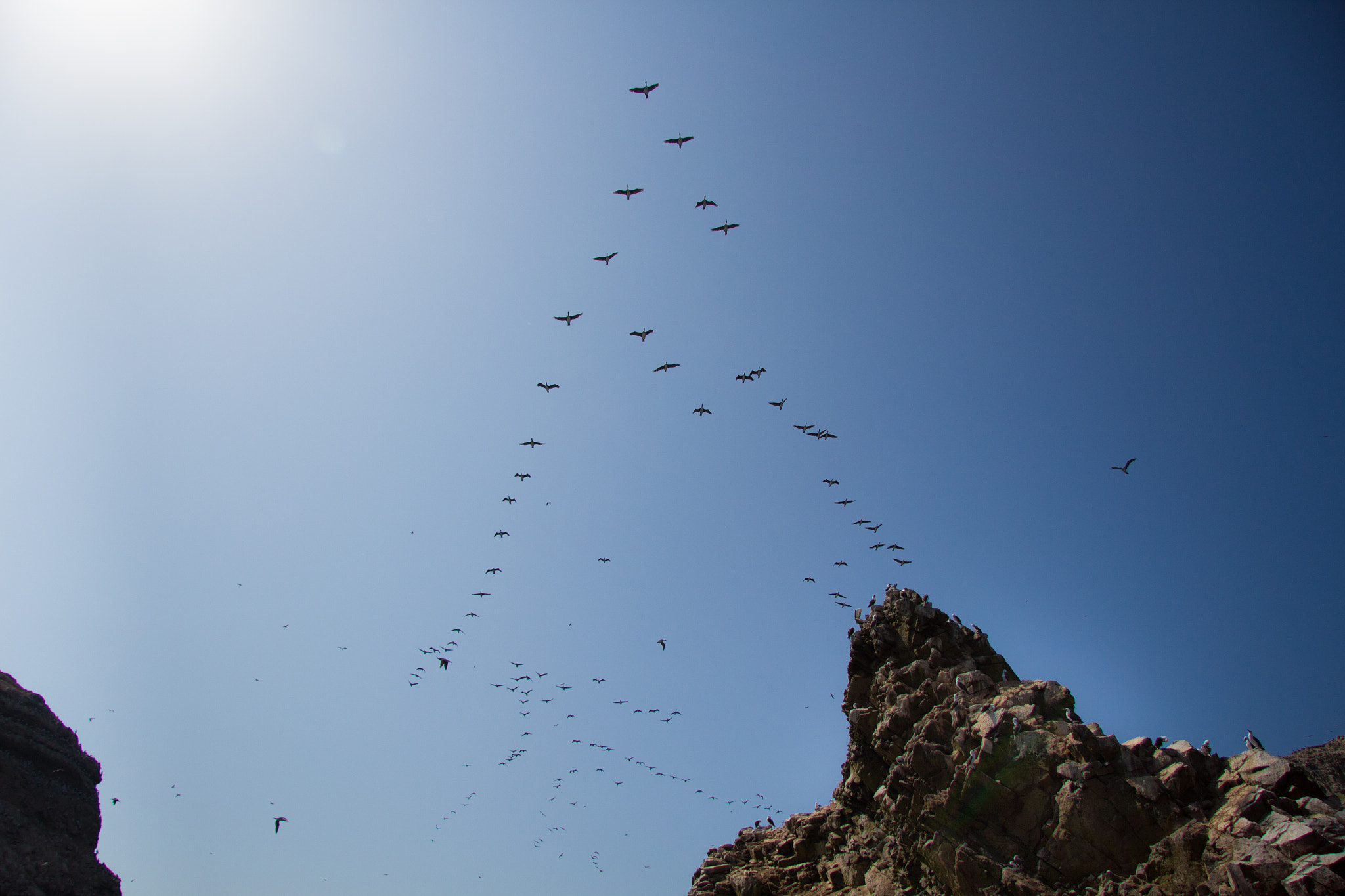 Canon EF-S 17-85mm F4-5.6 IS USM sample photo. Mountain's birds photography