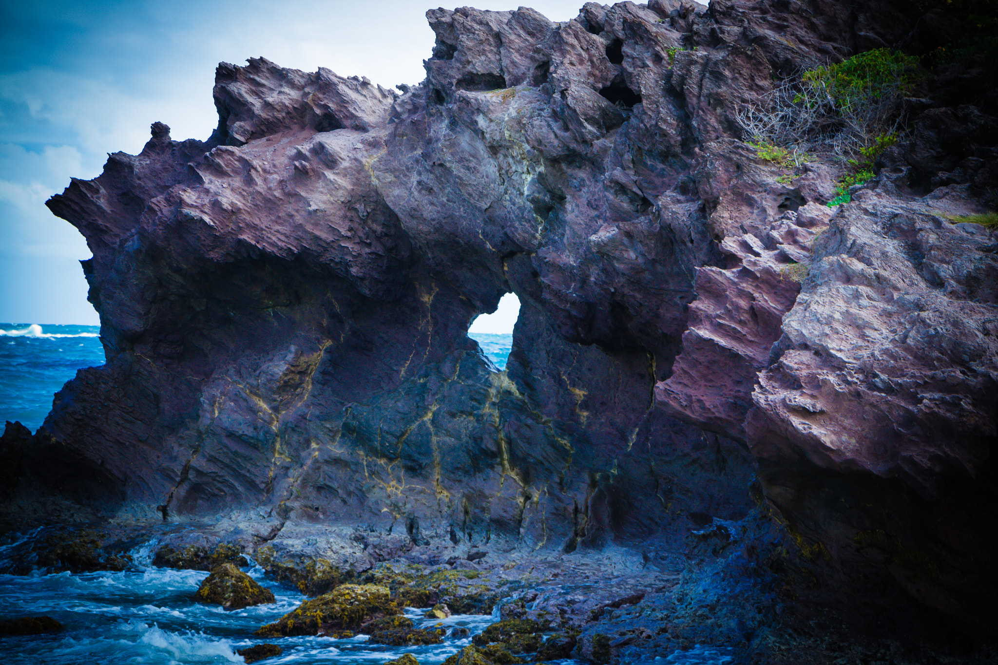 Sigma 17-70mm F2.8-4 DC Macro OS HSM | C sample photo. Anse grosse roche photography