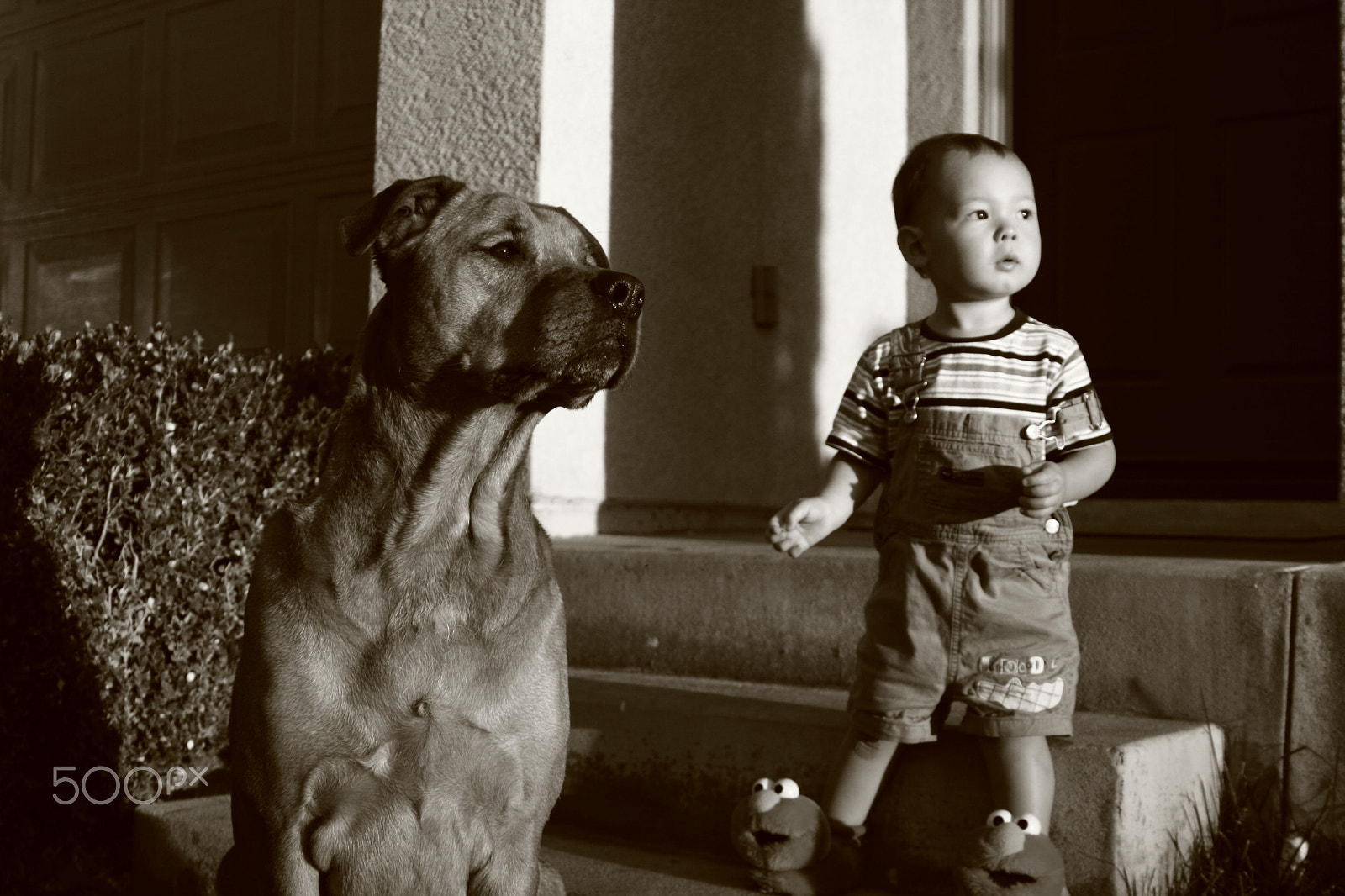 Canon EOS 400D (EOS Digital Rebel XTi / EOS Kiss Digital X) + Sigma 28-80mm f/3.5-5.6 II Macro sample photo. A boy and his dog photography