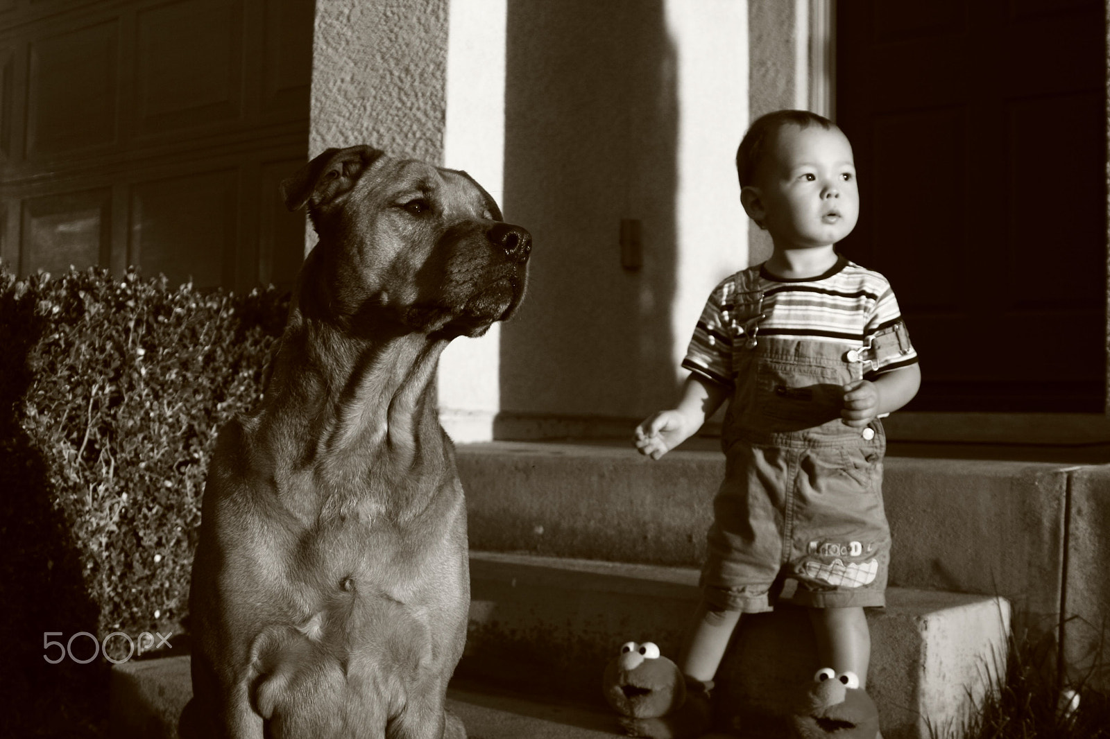 Sigma 28-80mm f/3.5-5.6 II Macro sample photo. A boy and his dog photography
