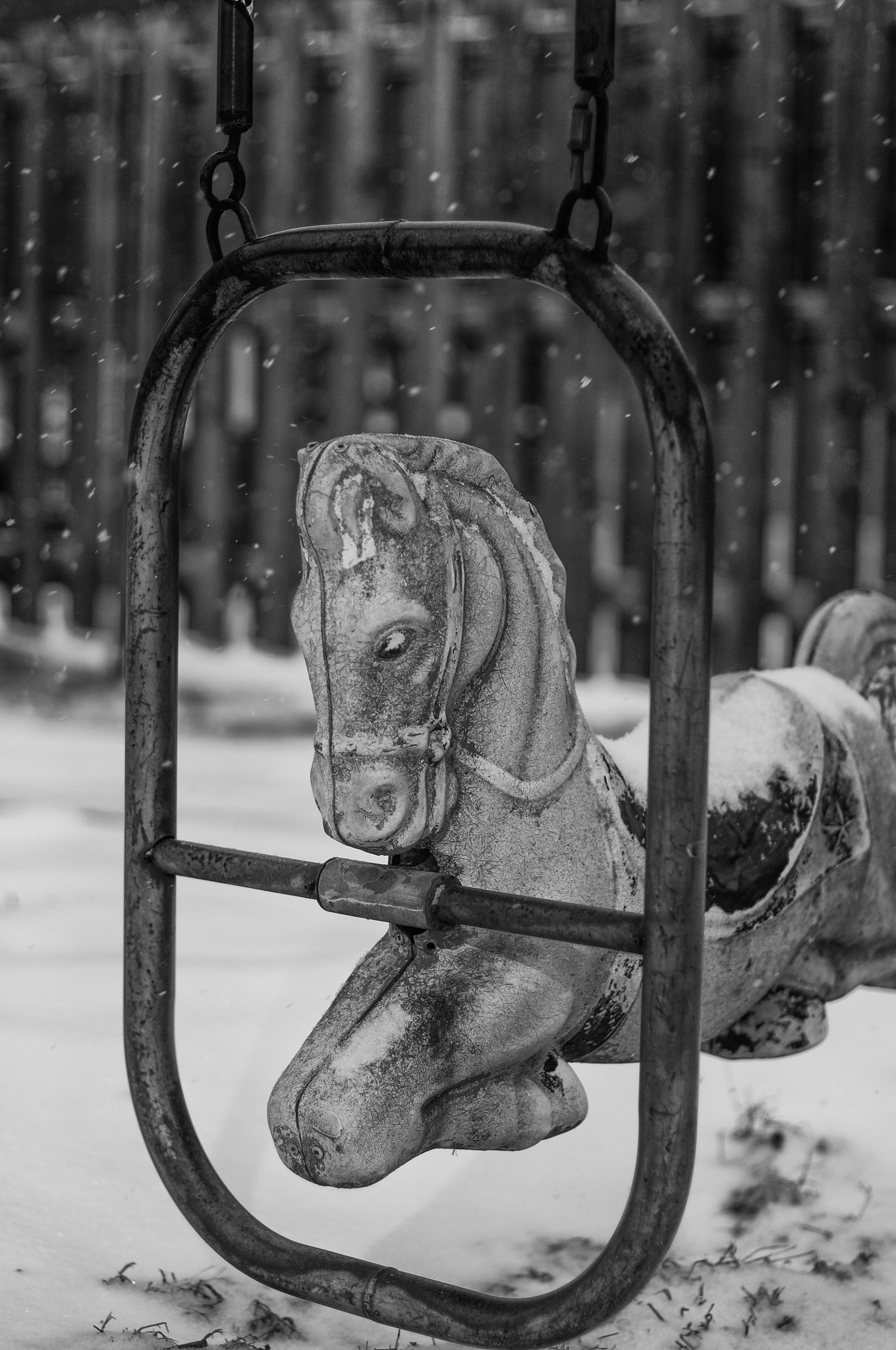 Nikon D2X + AF Nikkor 50mm f/1.4 sample photo. Snowy ride photography